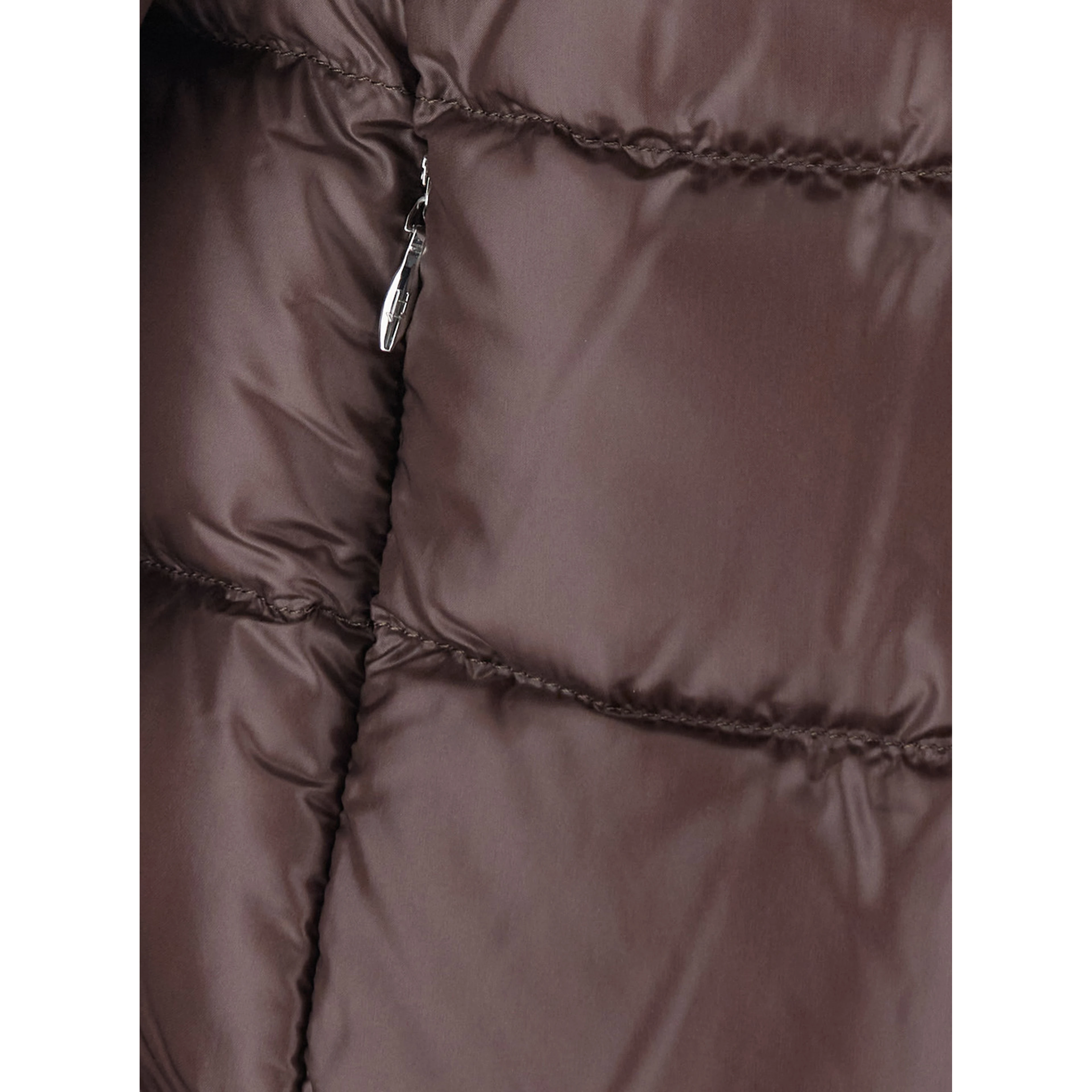 Brown Short Down Jacket with Hood and Metal Plate on the Back in Tech Fabric Woman