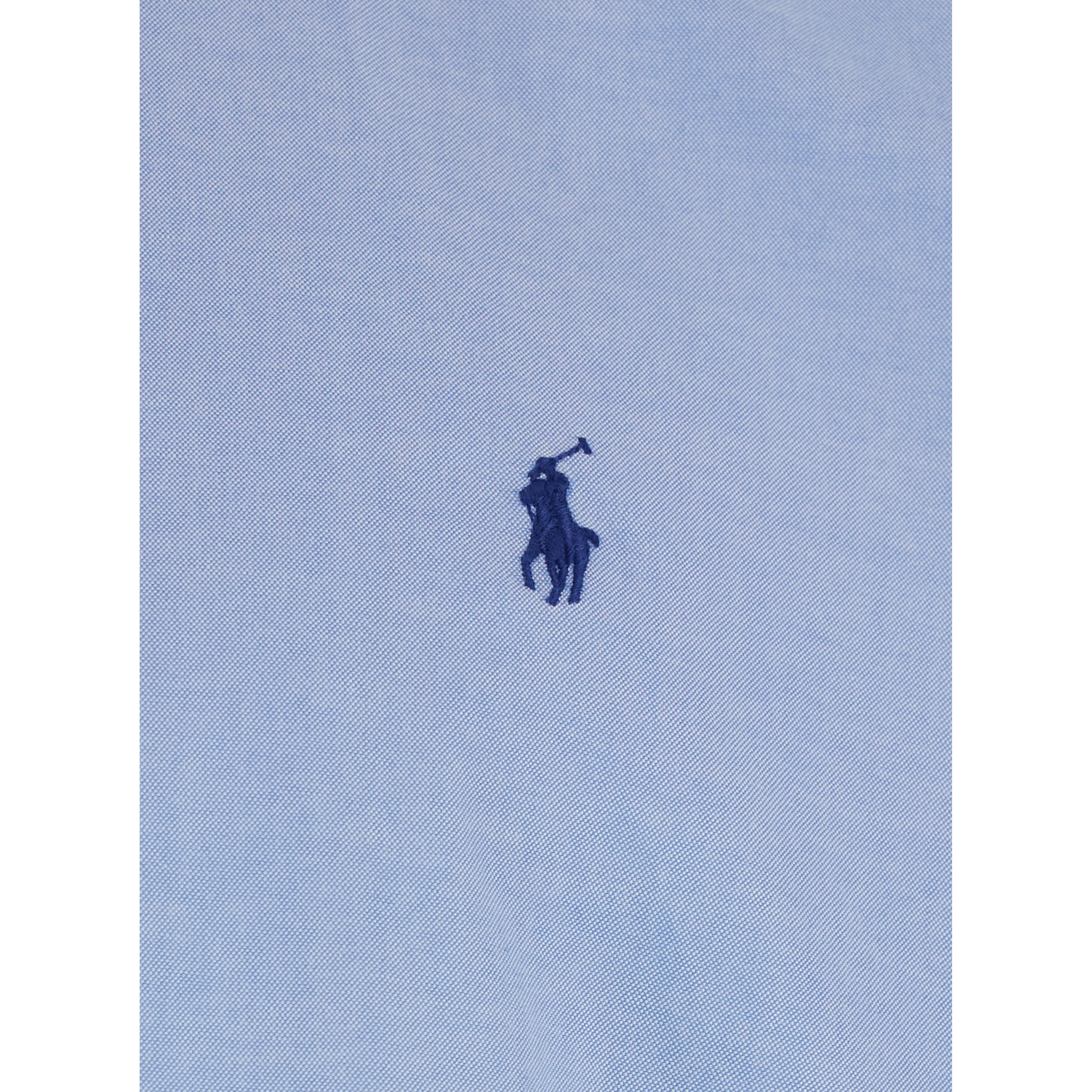 Light Blue Shirt Custom Fit with Button Down Collar and Pony Embroidery on the Front in Cotton for Men