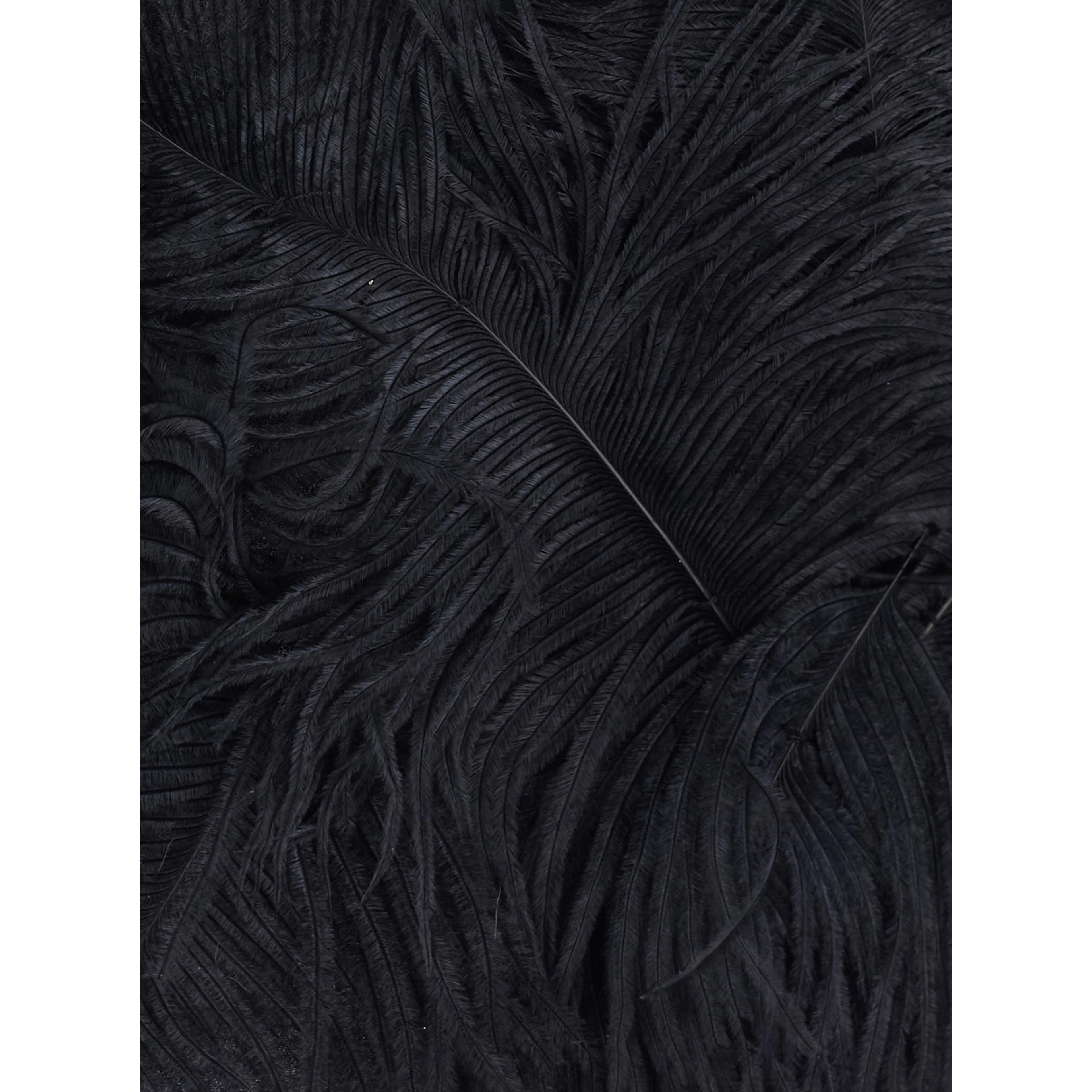 Black Skirt with feather details in tech fabric for women