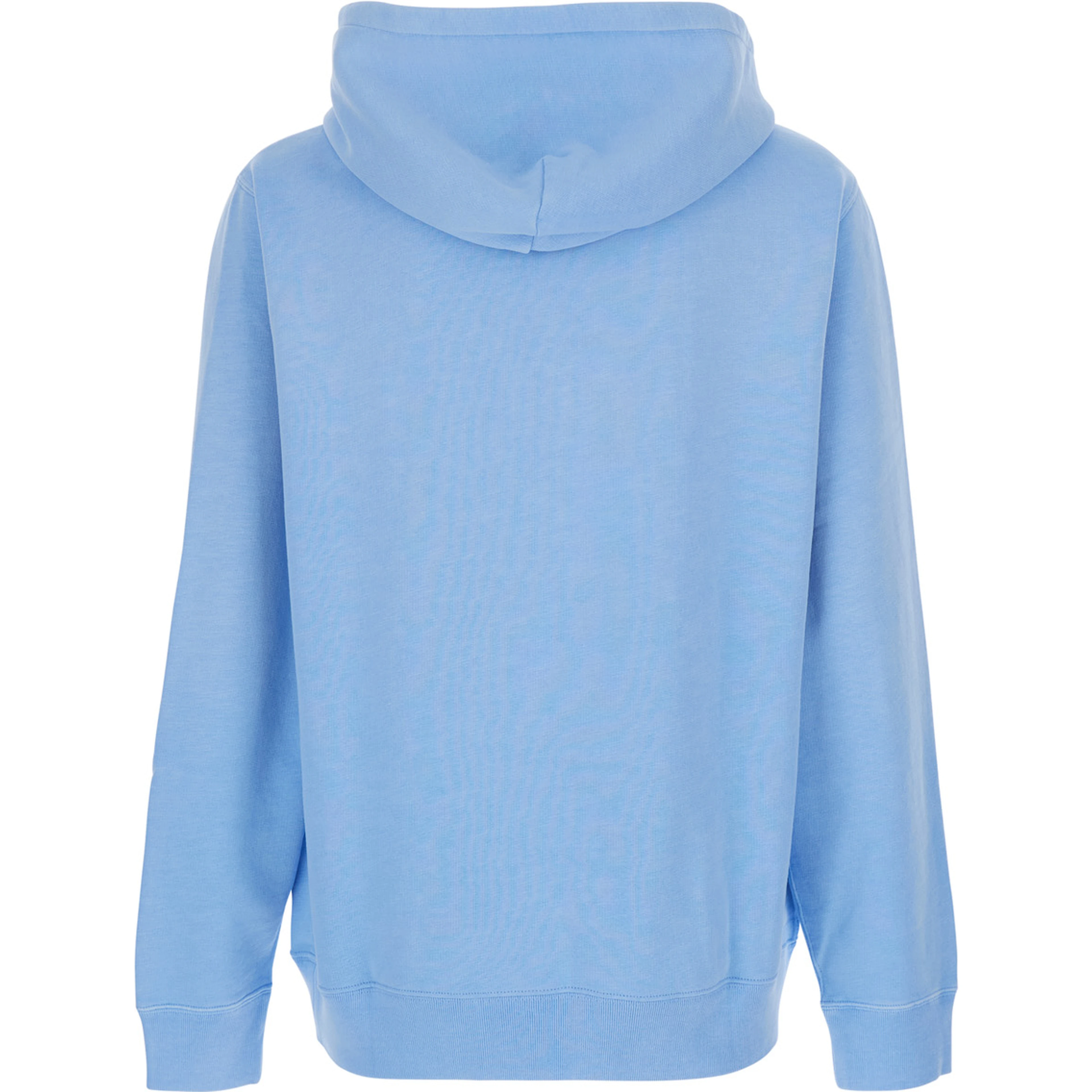 Light Blue Hoodie with Fixed Hood and Bear Logo on the Front in Cotton for Men