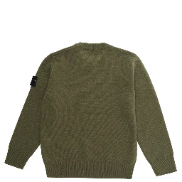 Green Crew Neck Sweater with Logo Patch on Sleeve in wool boy