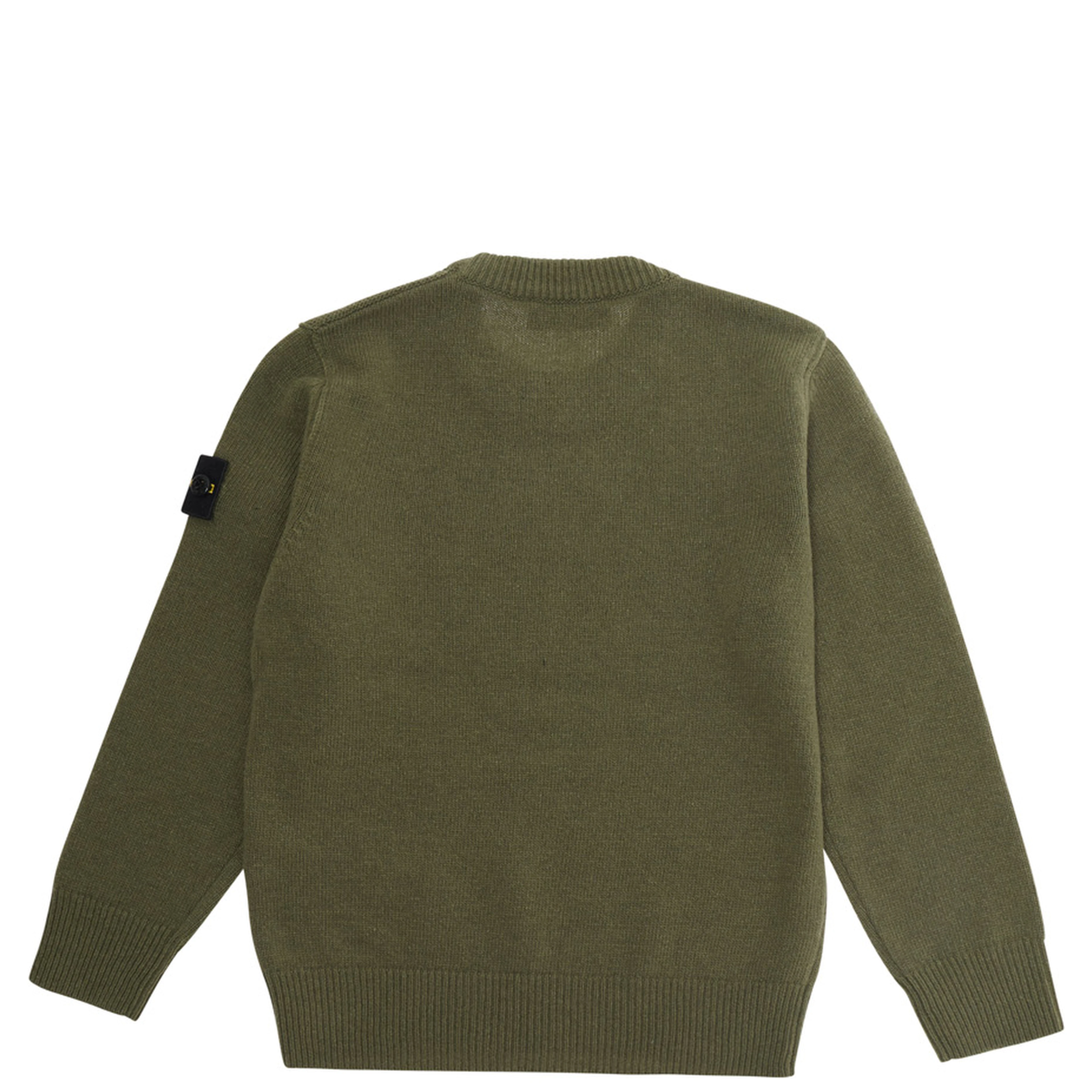 Green Crew Neck Sweater with Logo Patch on Sleeve in wool boy