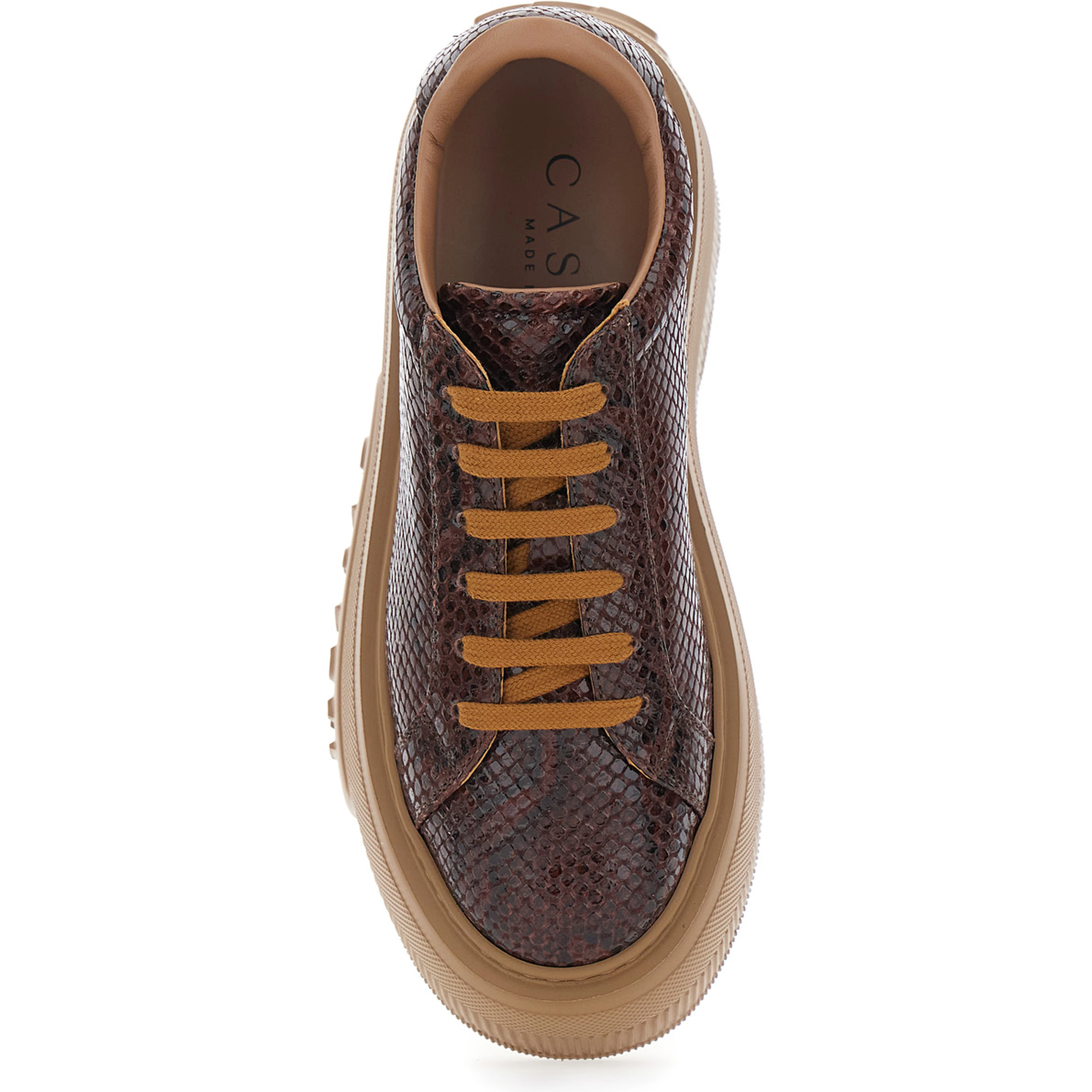 Nexus Brown Sneaker with Oversize Platform in Snake Effect Leather for Women