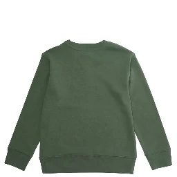 Green Sweatshirt with Pony on the front and long sleeves in cotton Boy