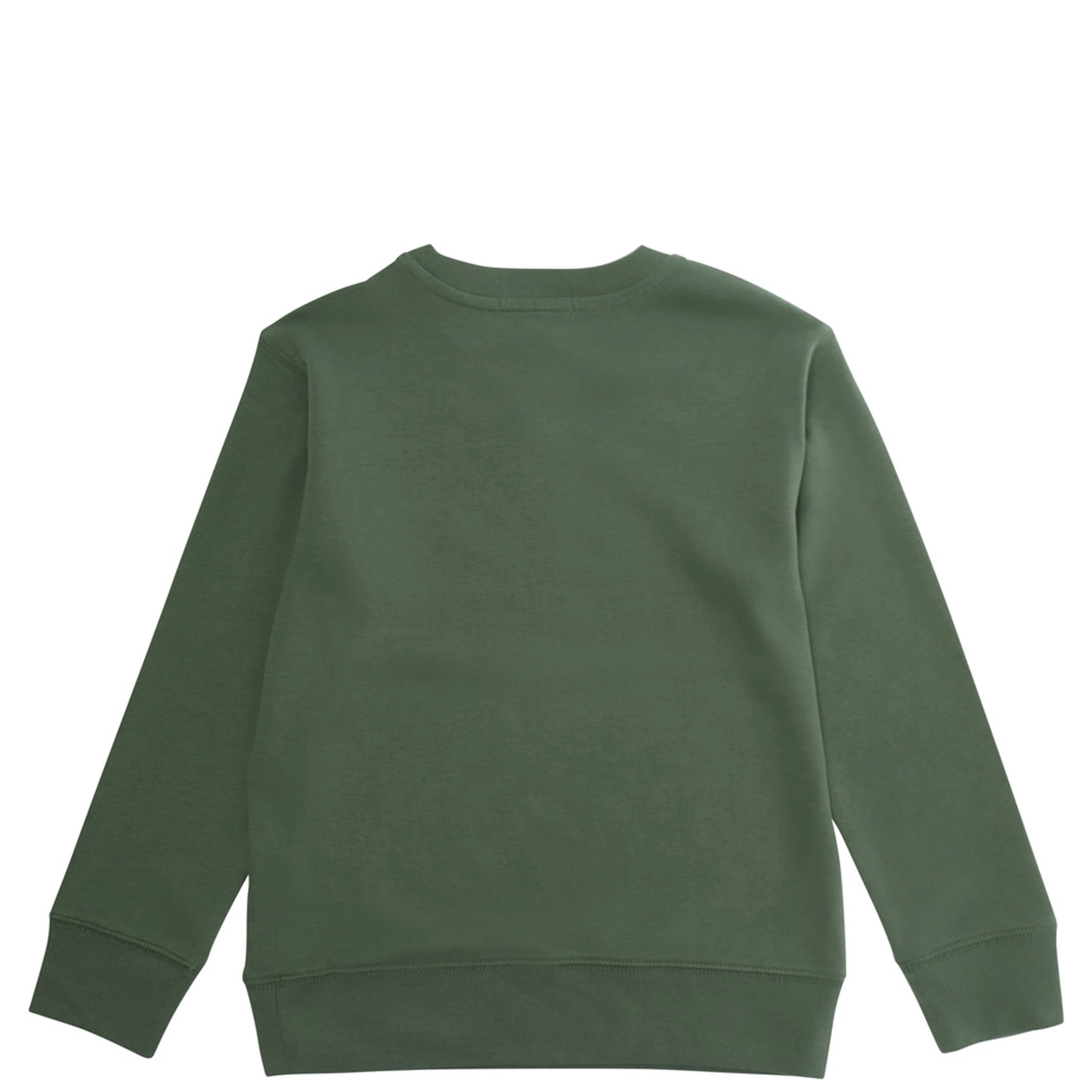 Green Sweatshirt with Pony on the front and long sleeves in cotton Boy