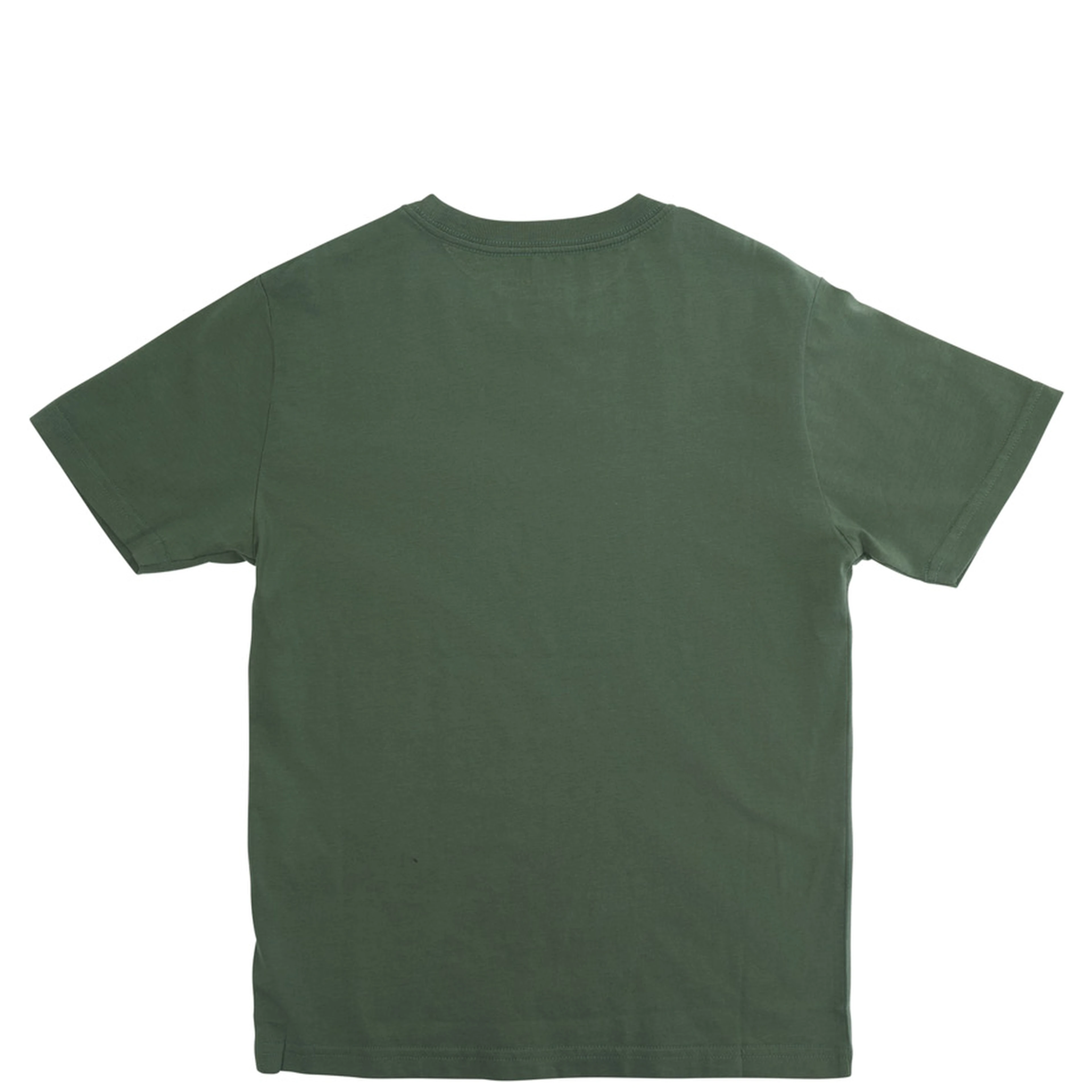 Green Short Sleeve T-shirt with Round Neck in Cotton Boy