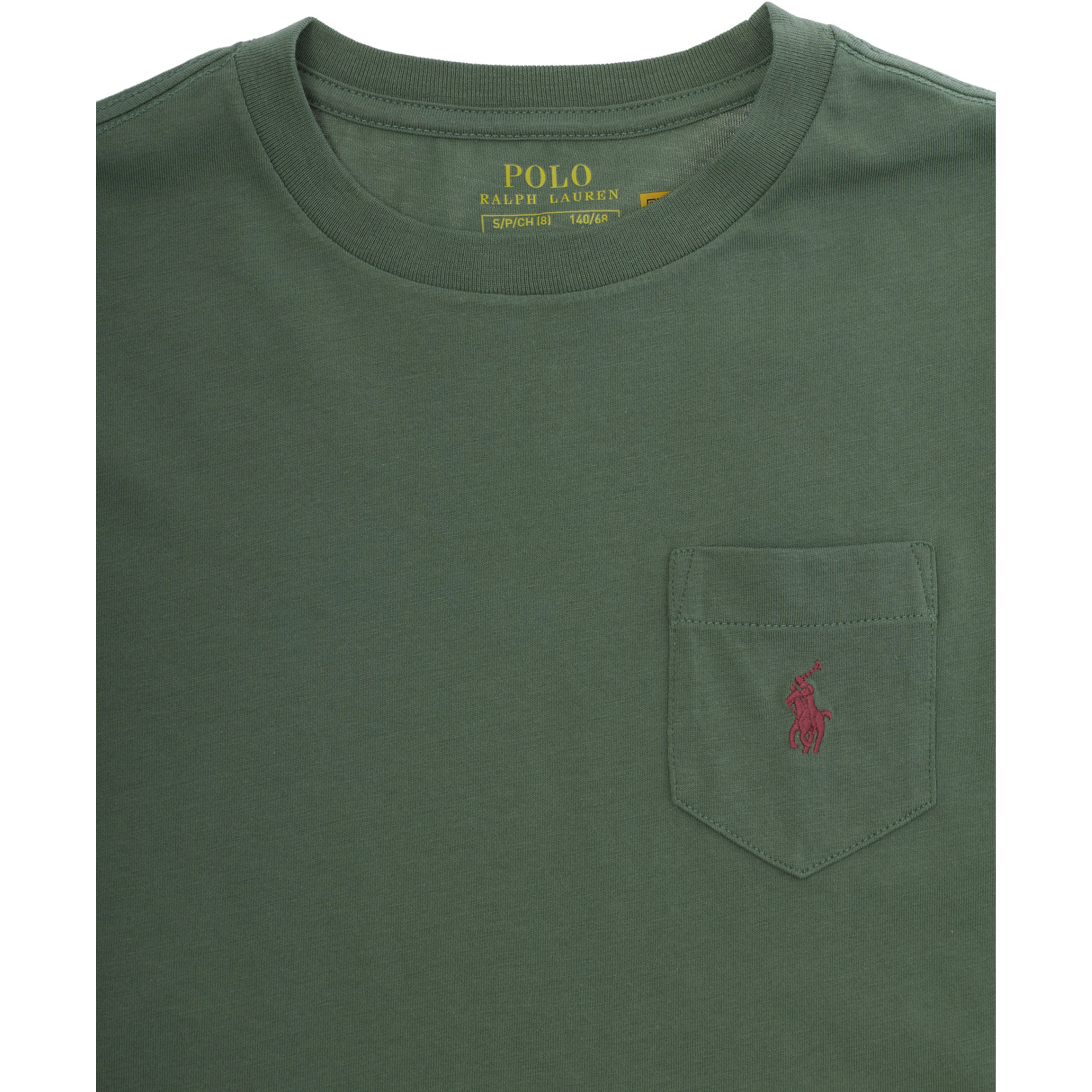 Green Short Sleeve T-shirt with Round Neck in Cotton Boy