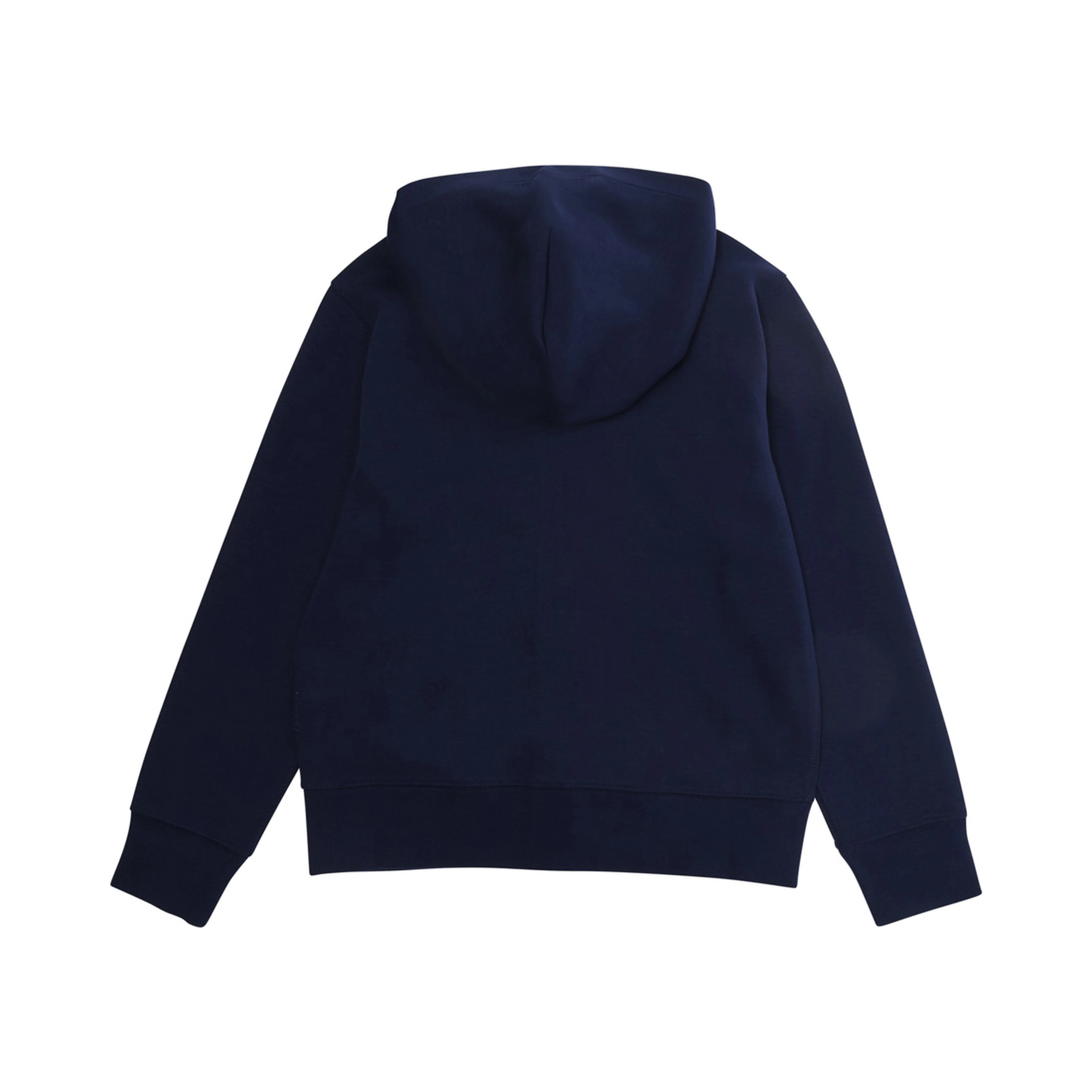 Blue Hooded Sweatshirt with Pony Embroidery on the Front in Cotton Boy