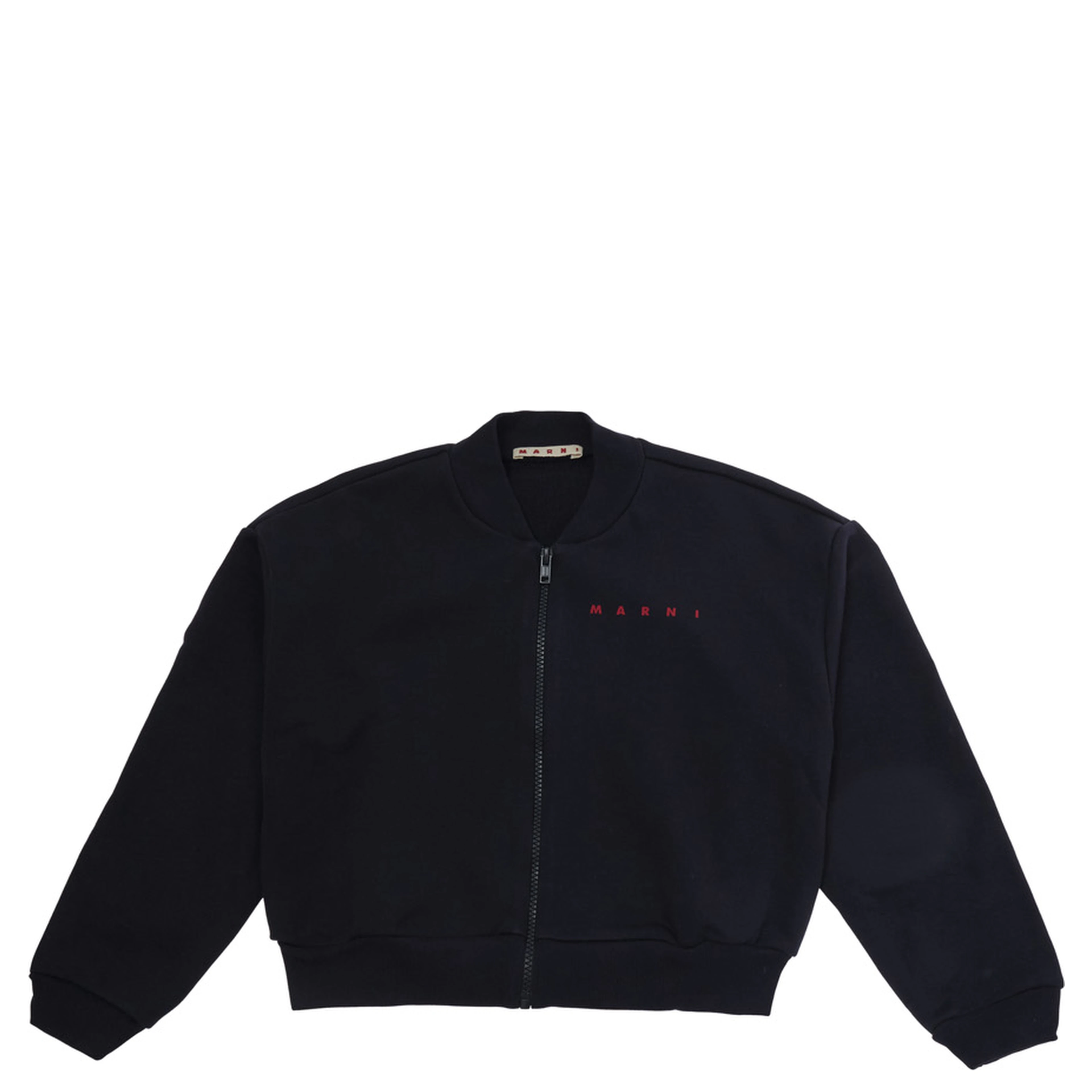 Blue Sweatshirt with logo lettering on the front in cotton Girl