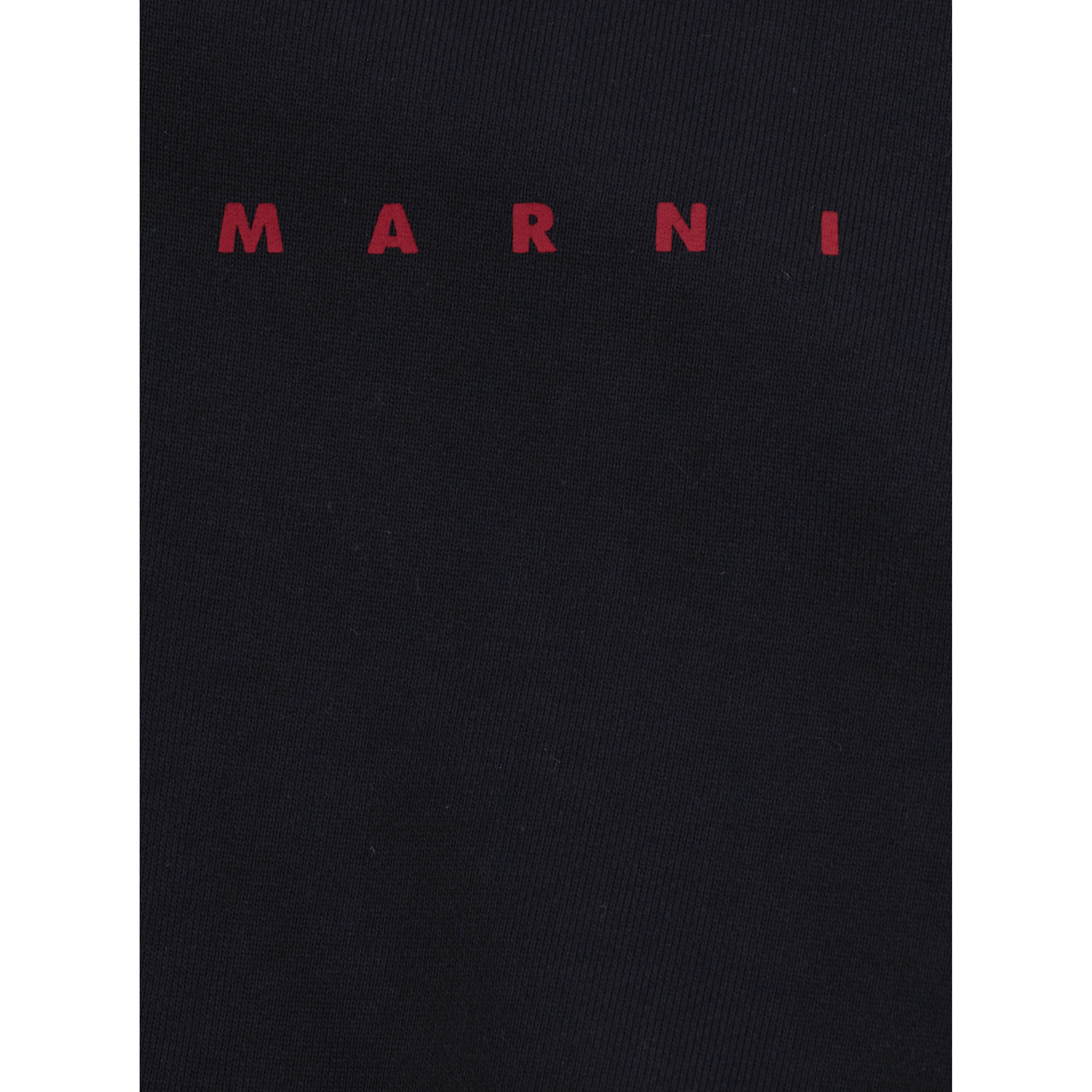 Blue Sweatshirt with logo lettering on the front in cotton Girl