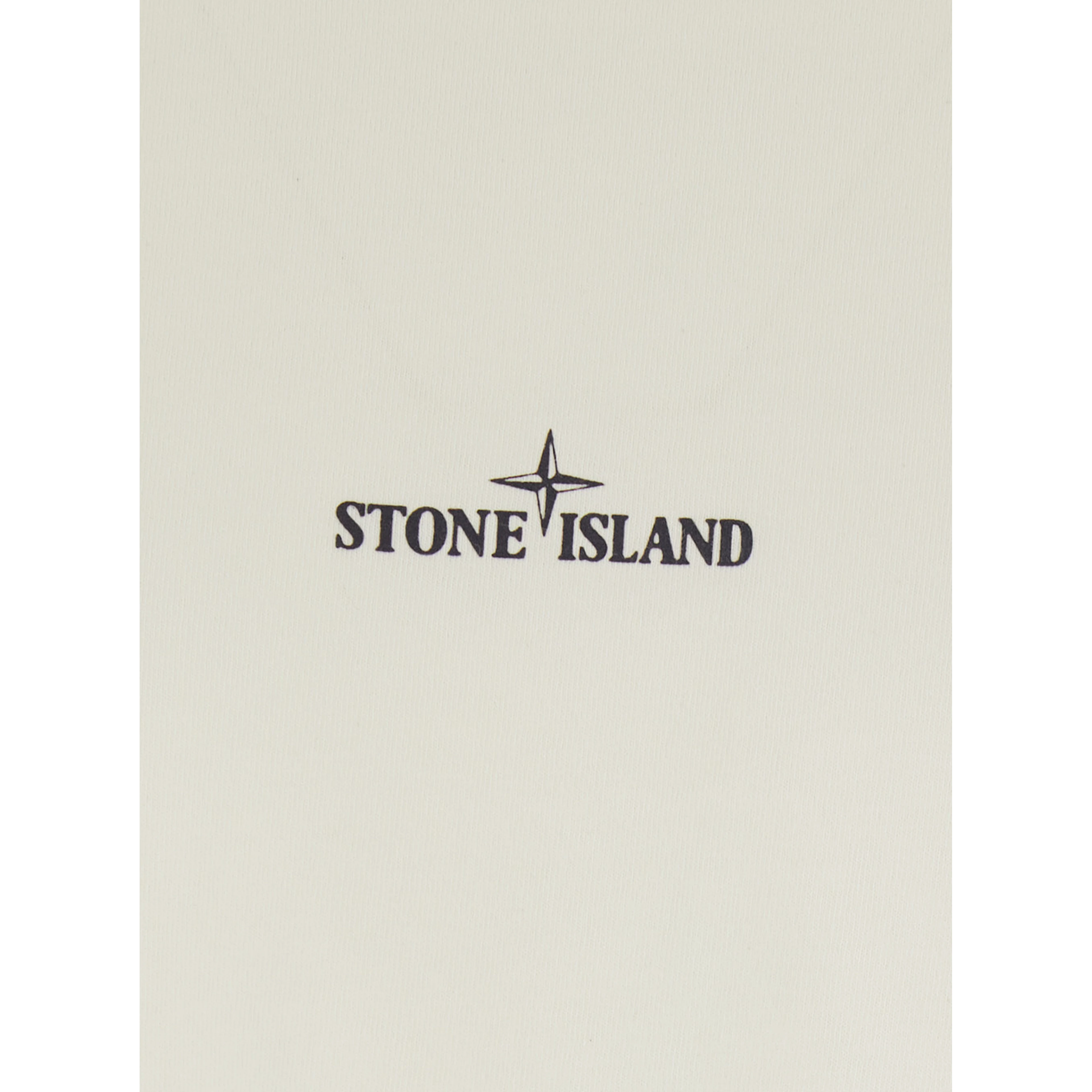 Beige Crew neck T-shirt with logo lettering on the front and maxi logo print on the back in cotton for men