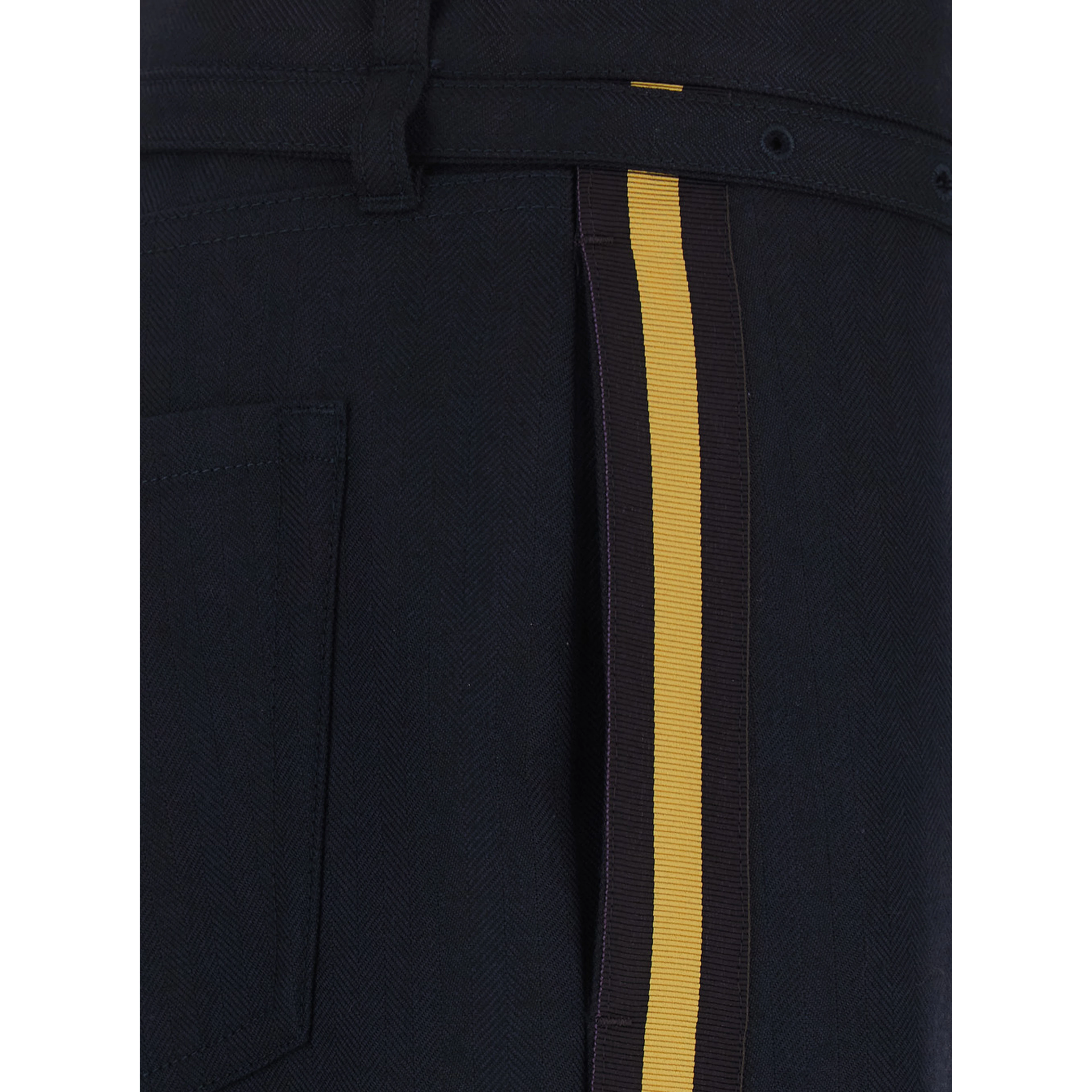 Persy Blue Pants with vertical details and belt with buckle in wool for women