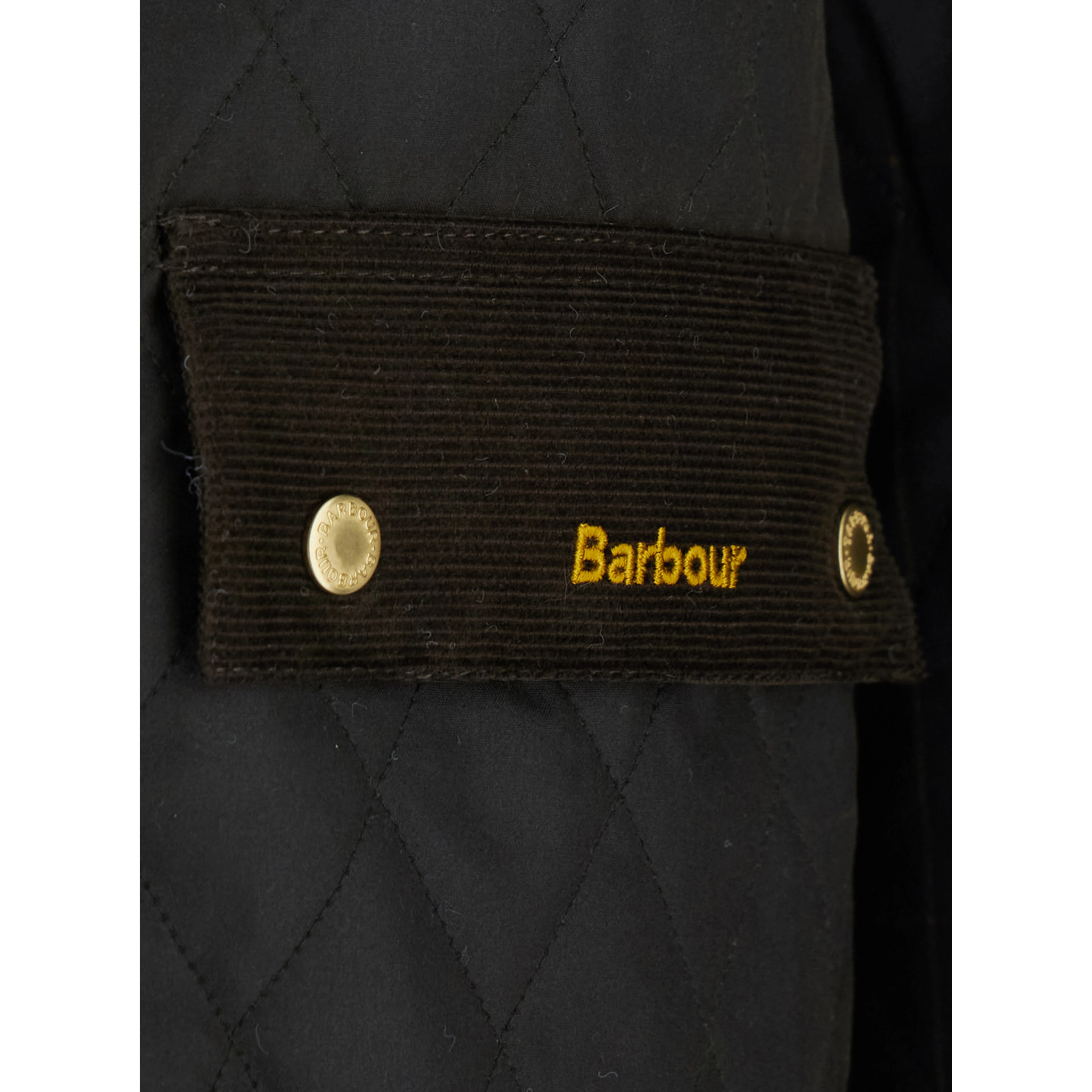 Green Jacket with collar and logo lettering on the front in cotton for women
