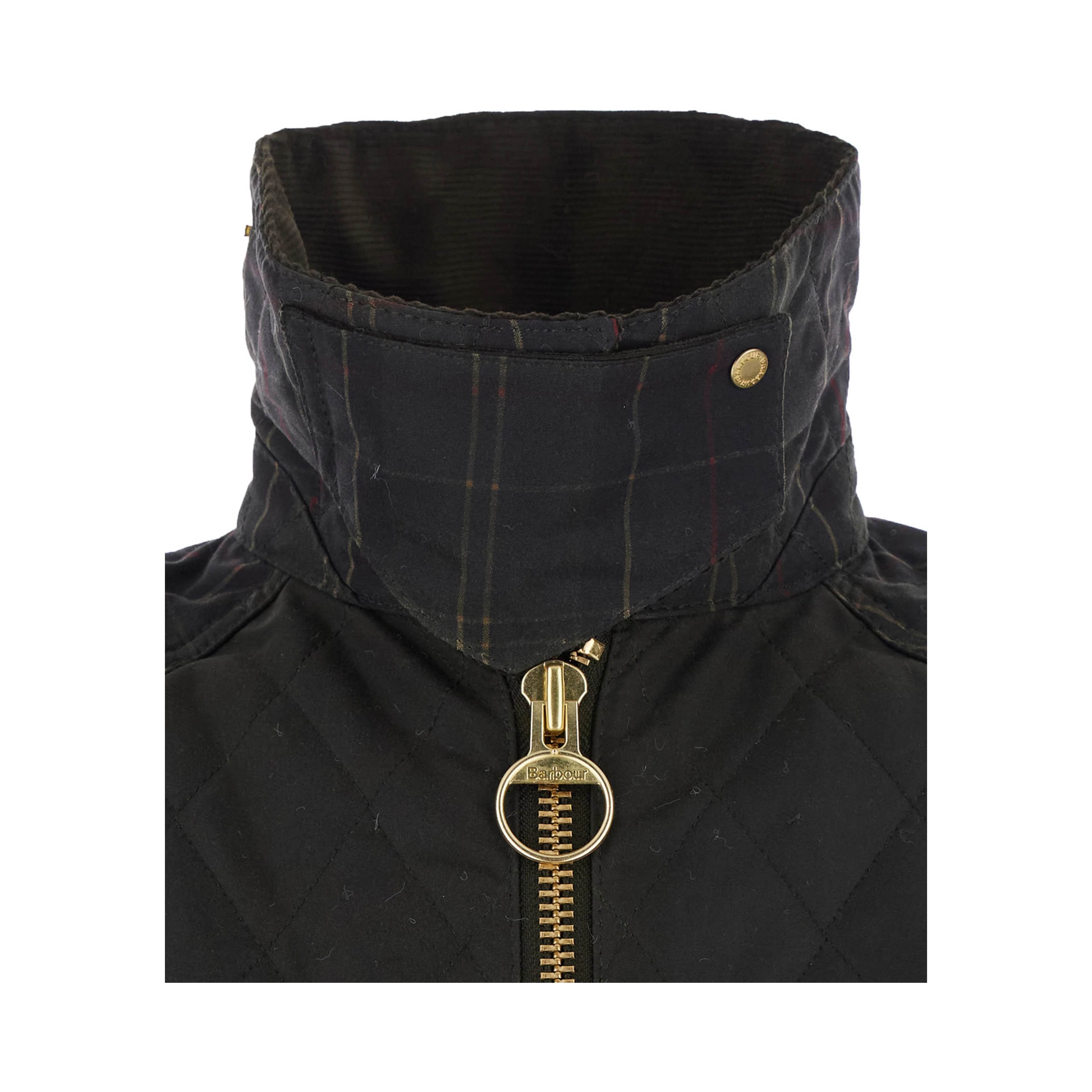 Green Jacket with collar and logo lettering on the front in cotton for women