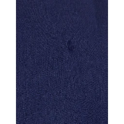 Blue Shirt with classic collar and Pony embroidery on the front in linen for men