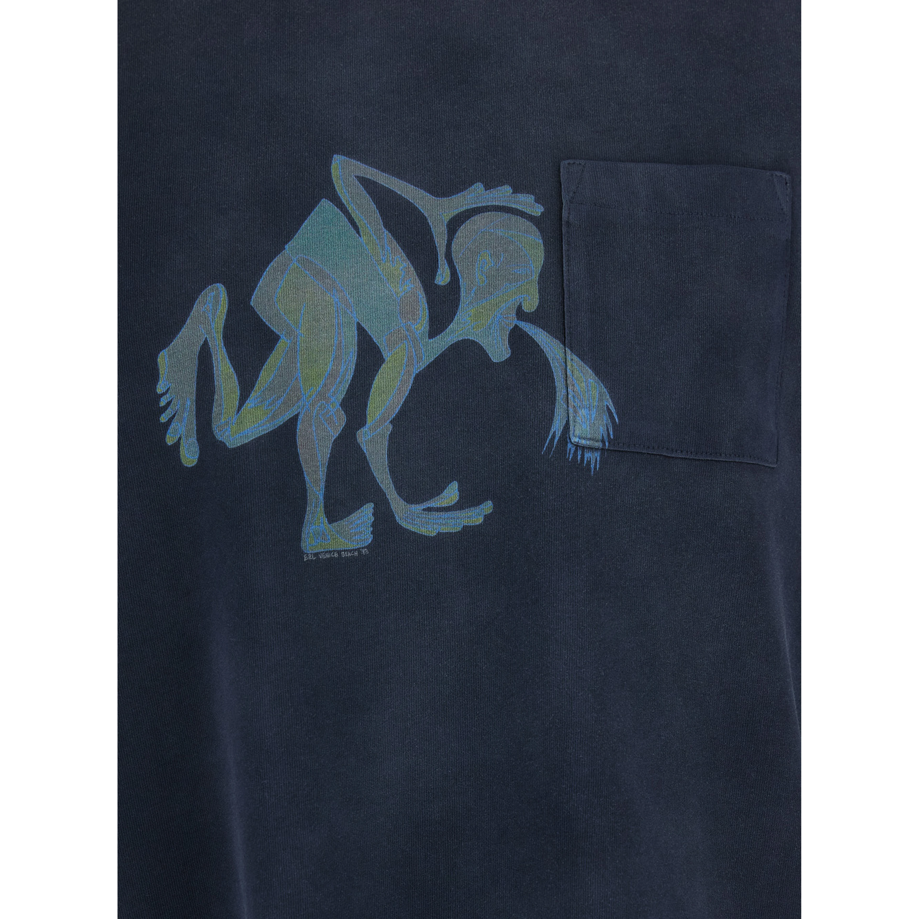 Blue T-shirt with front print in cotton man
