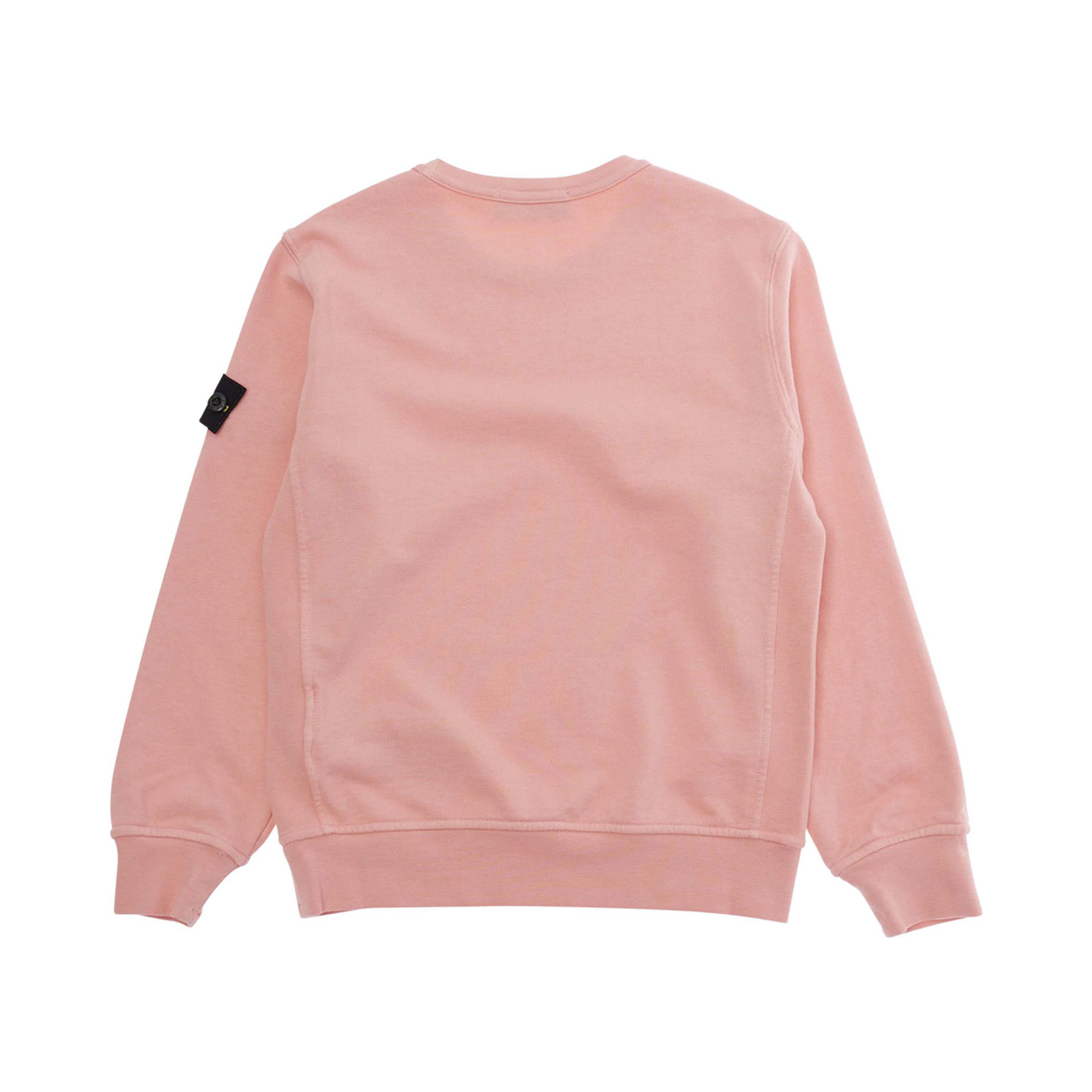 Pink Sweatshirt with Logo Patch on the Sleeve in Cotton Boy