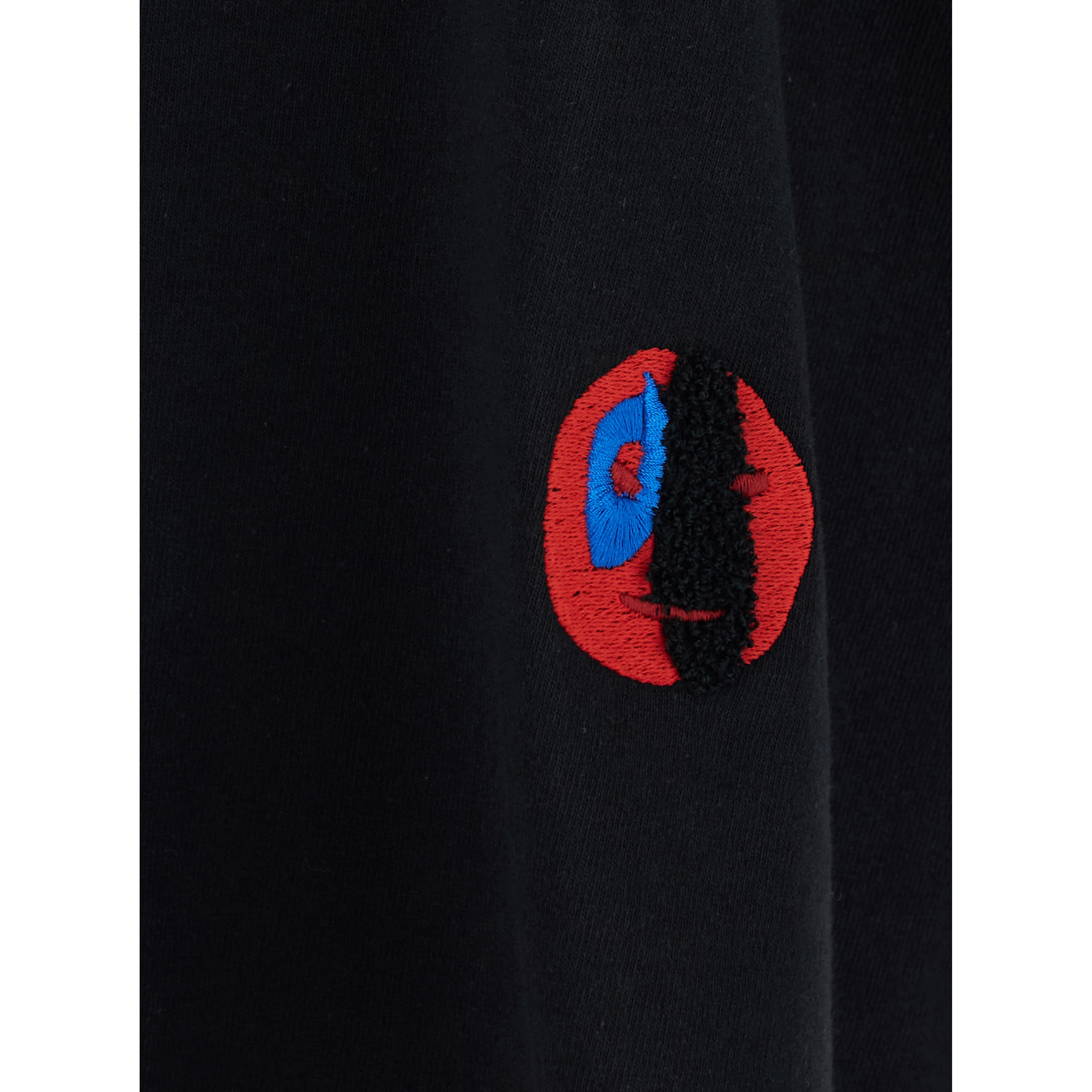 Black Crew Neck T-Shirt with Front Embroidery in Cotton for Men