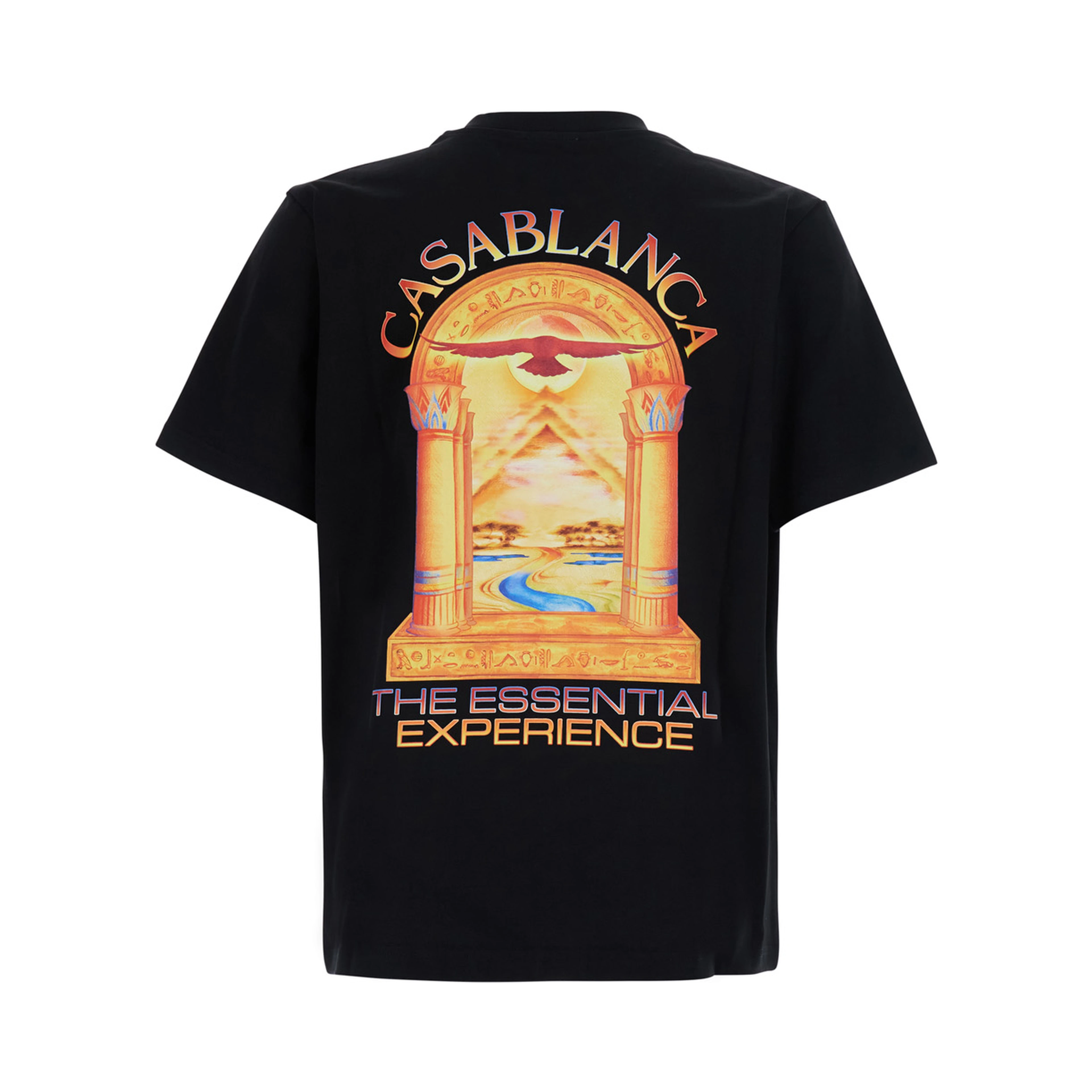 Black Crew neck T-shirt with logo detail on the front and maxi logo on the back in cotton for men