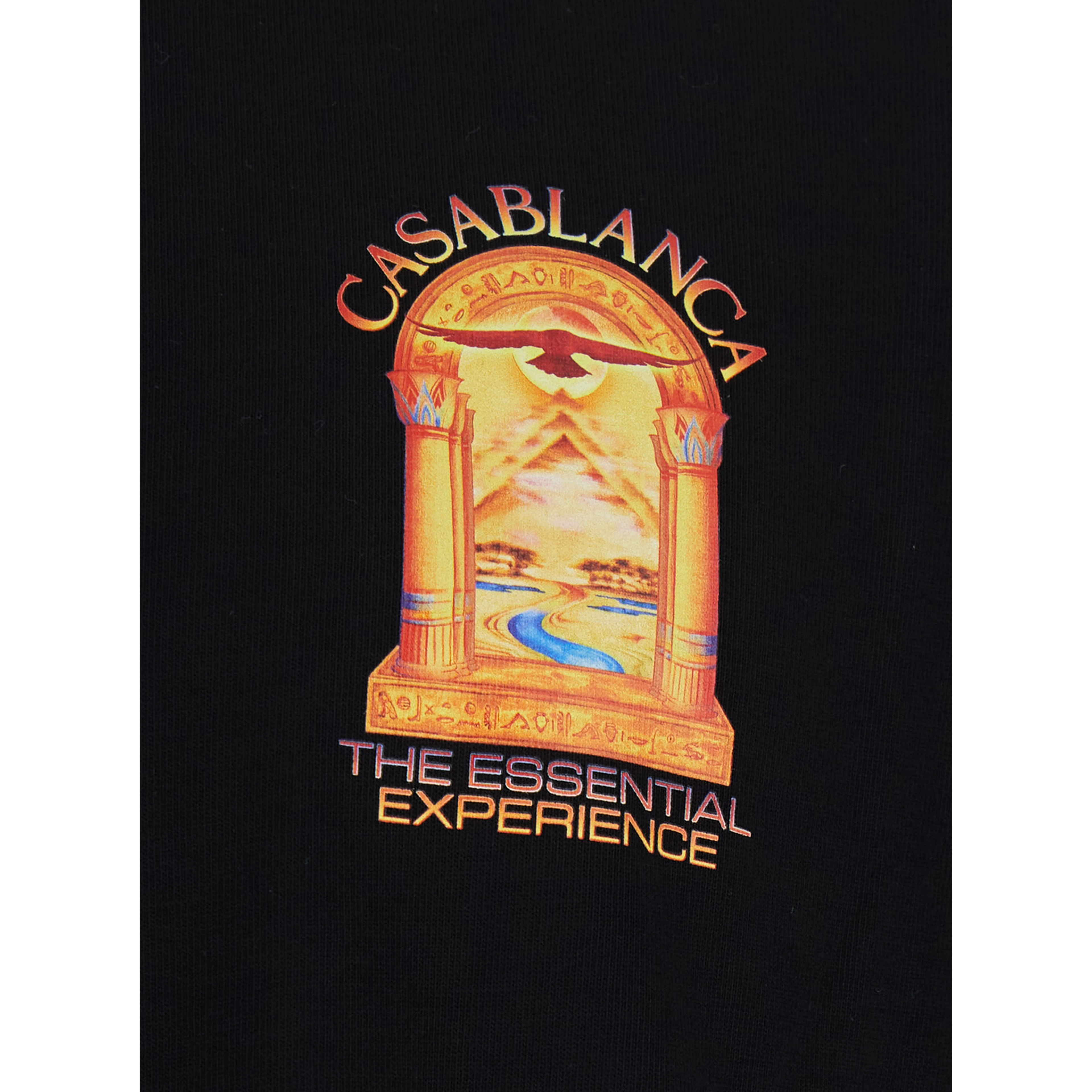 Black Crew neck T-shirt with logo detail on the front and maxi logo on the back in cotton for men