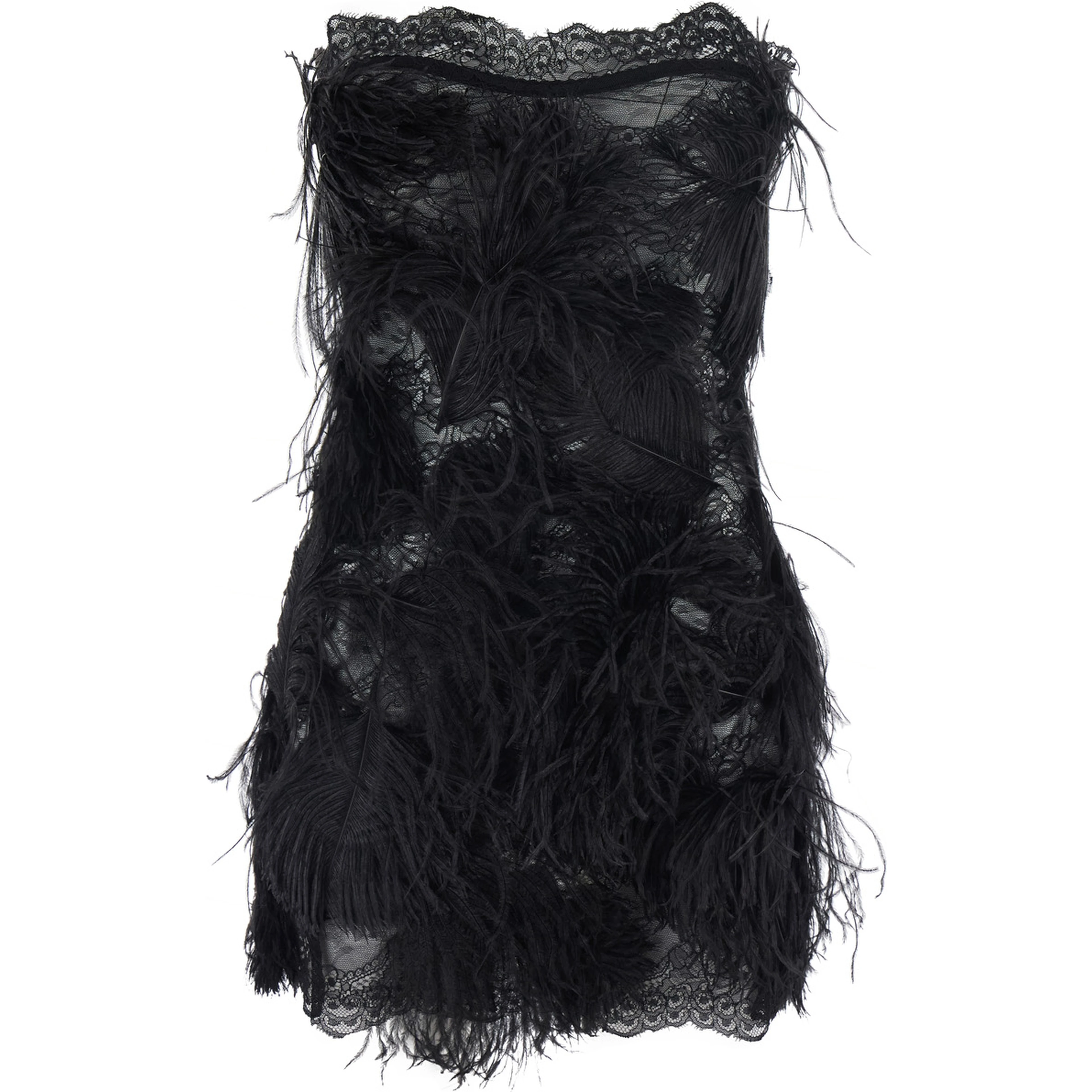 Embroidered ostrich feathers on lace