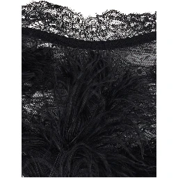 Embroidered ostrich feathers on lace