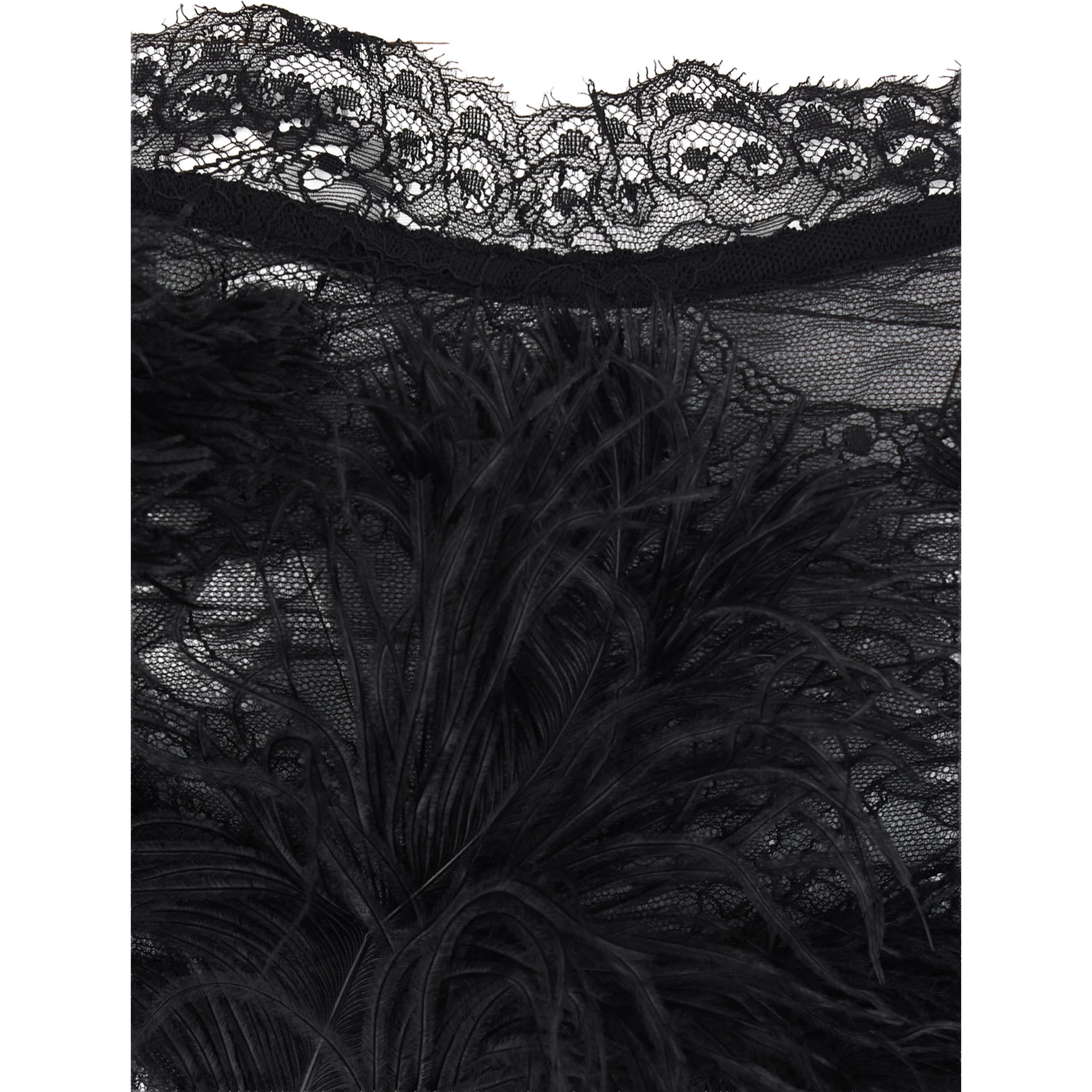 Embroidered ostrich feathers on lace