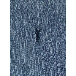 Shirt with Classic Collar and Cassandre Embroidery on the Front in Light Blue Denim for Men