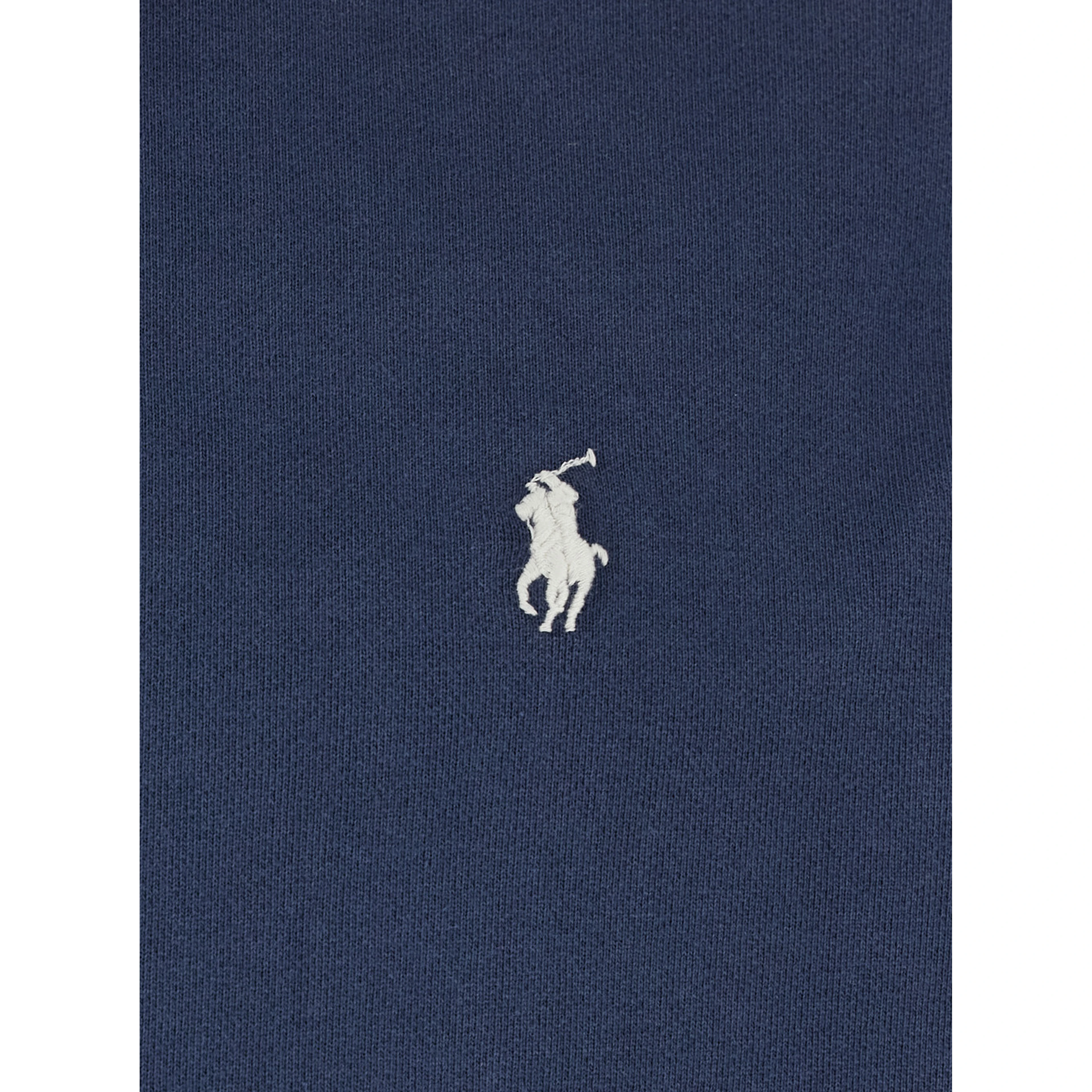 Hooded Sweatshirt with Pony Embroidery in Blue Cotton for Men