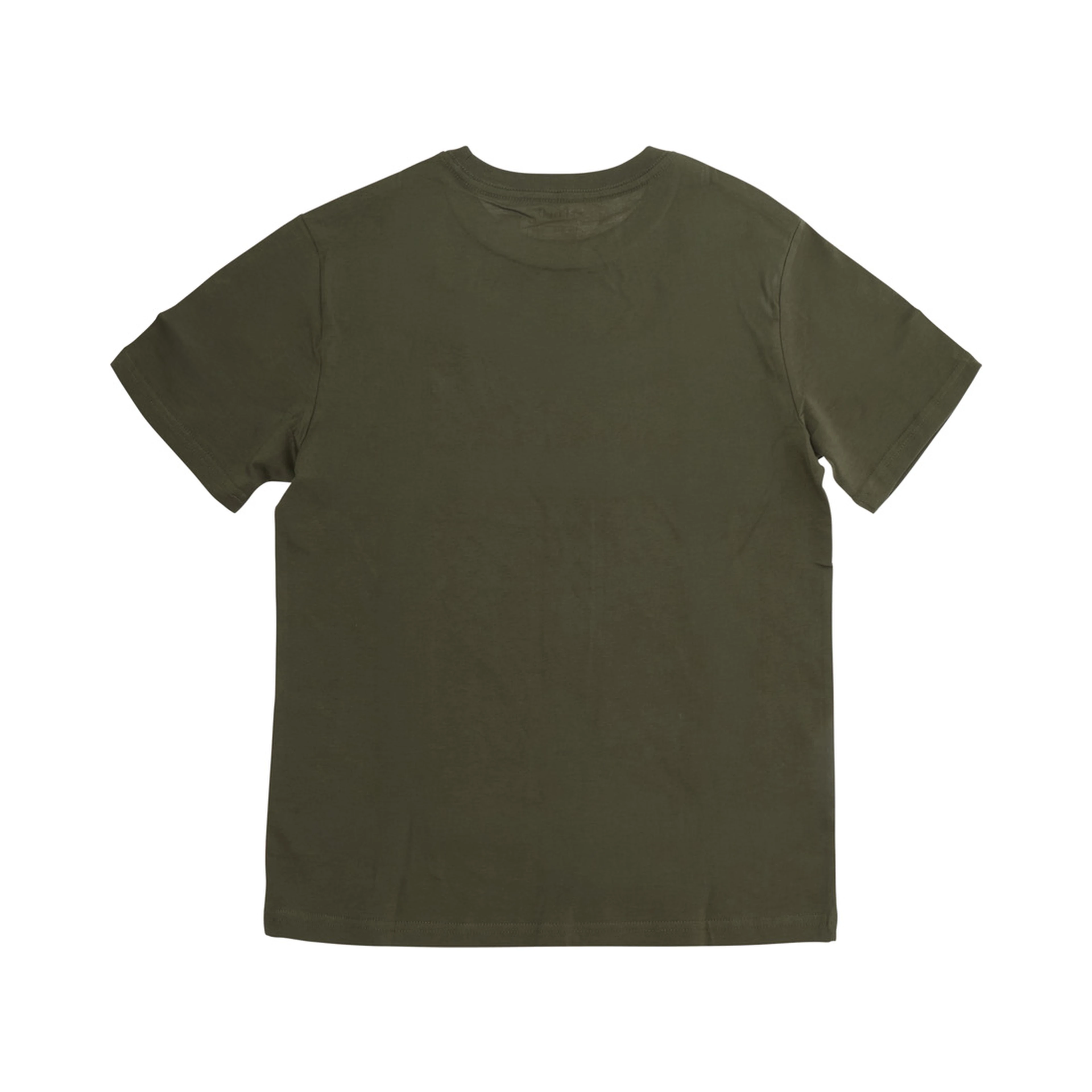 Green T-shirt with Pony Logo on the Front in Cotton for Boy