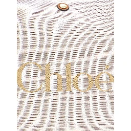 Clover Brown Tote Bag with Logo Lettering on the Front and Magnetic Closure in Cotton for Women