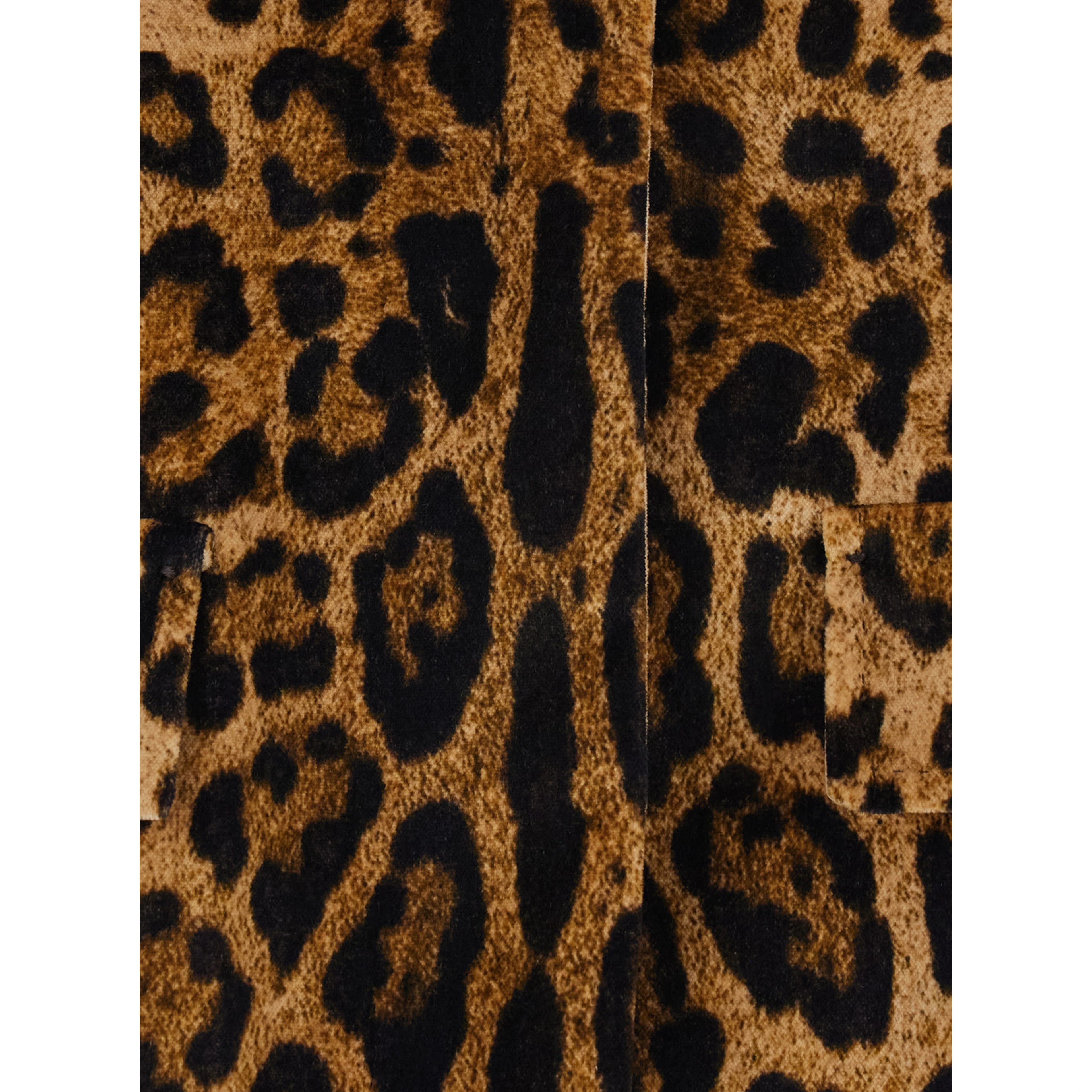 Tedro Brown Crop Jacket with Raised Collar and All-Over Leopard Motif in Velvet for Women
