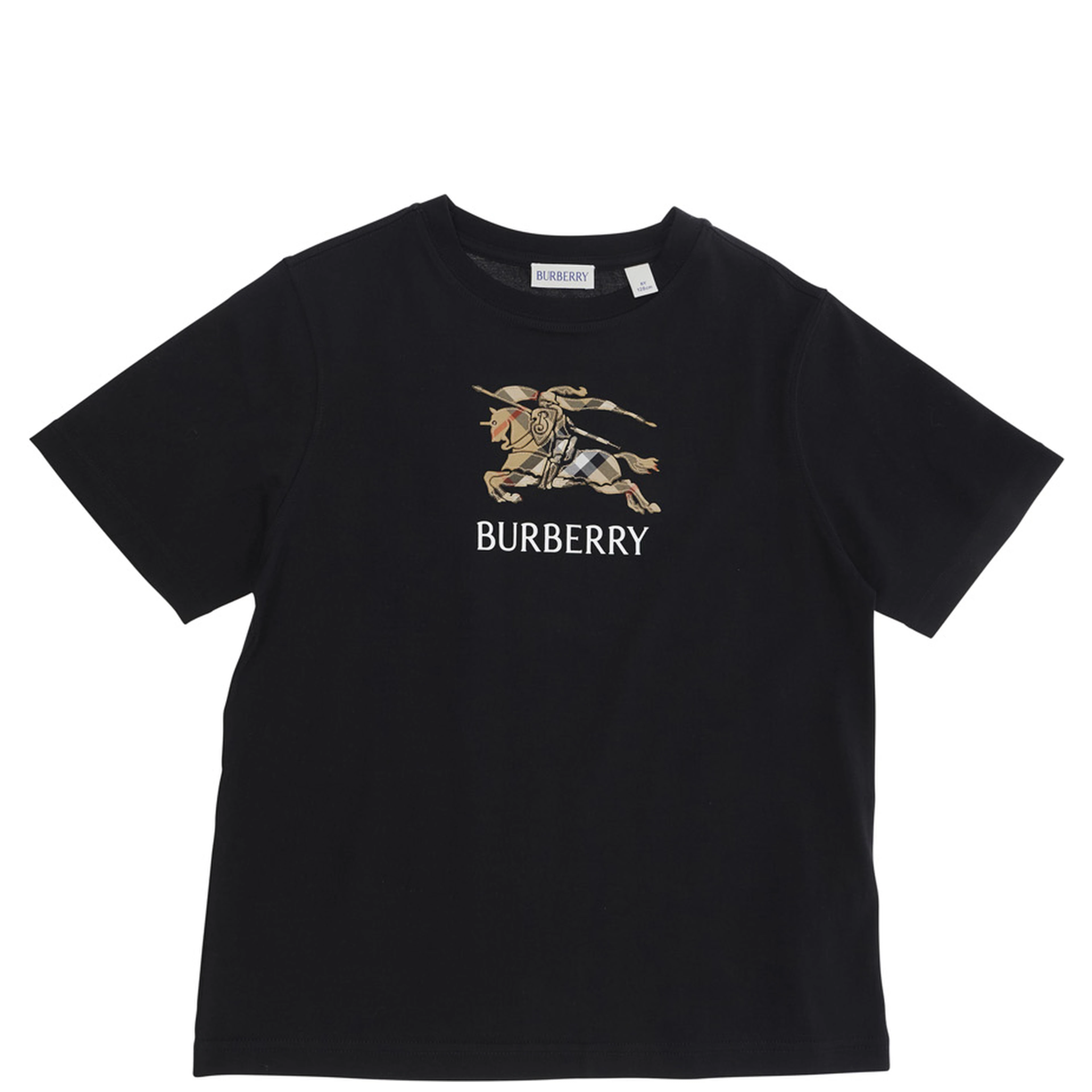 Crew Neck T-Shirt with Logo Lettering and EKD Embroidery on the Front in Black Cotton Boy