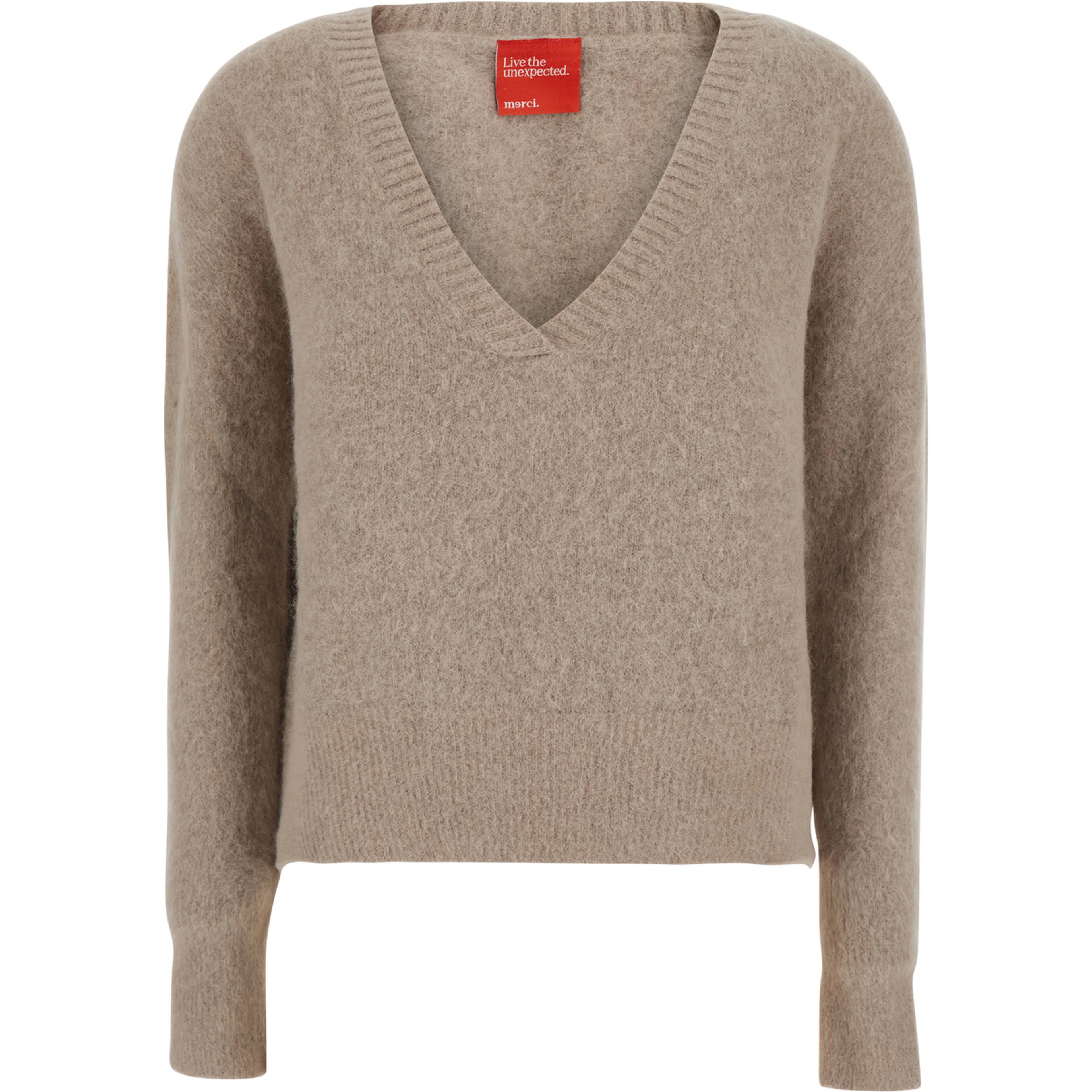 Beige Long Sleeve V-Neck Top for Women