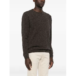 Daniele Fiesoli Sweaters