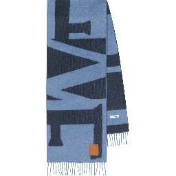 Loewe Scarfs Blue