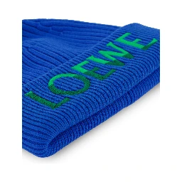 Loewe Hats Blue/green