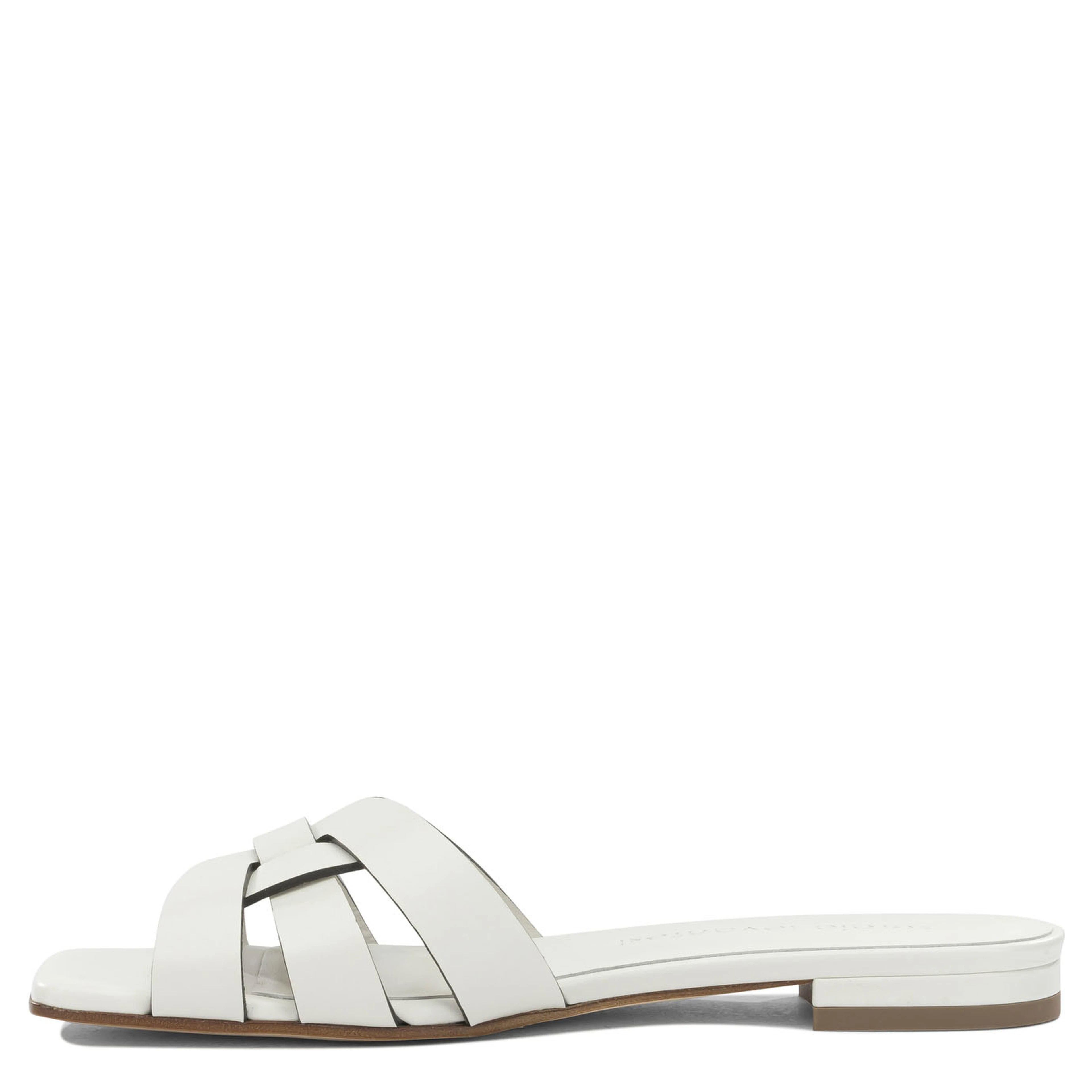 "Norma" Slides