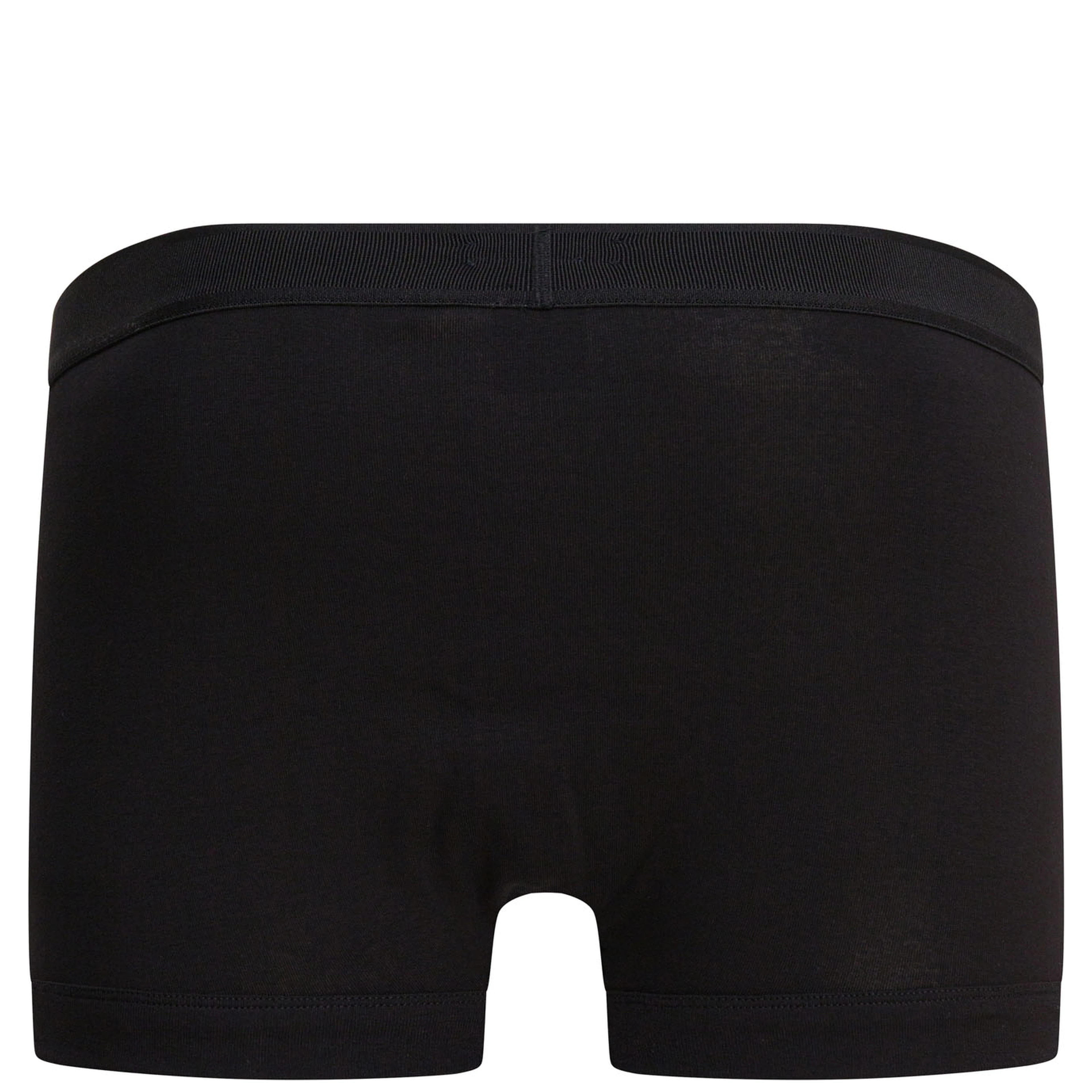"Brief" Boxer