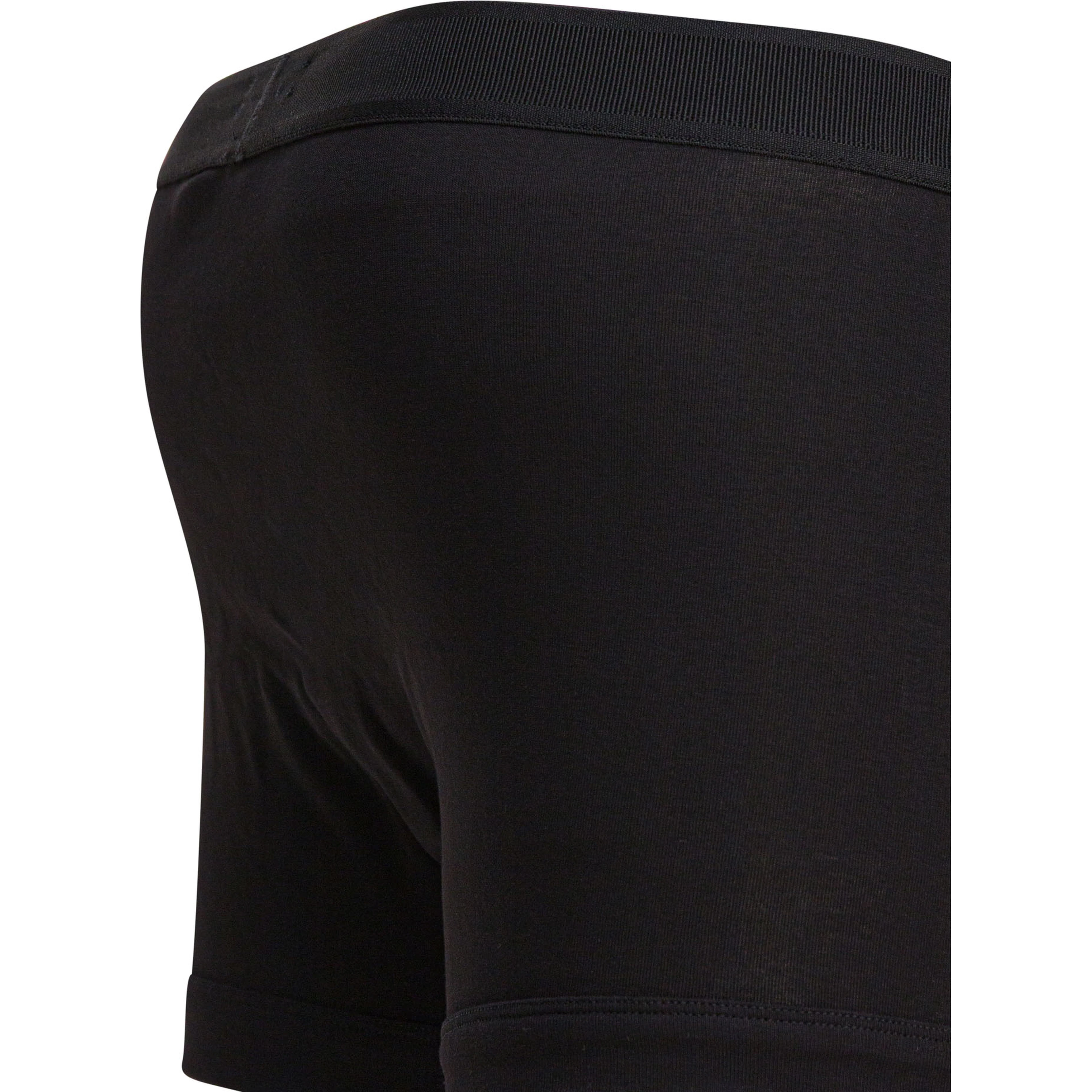 "Brief" Boxer