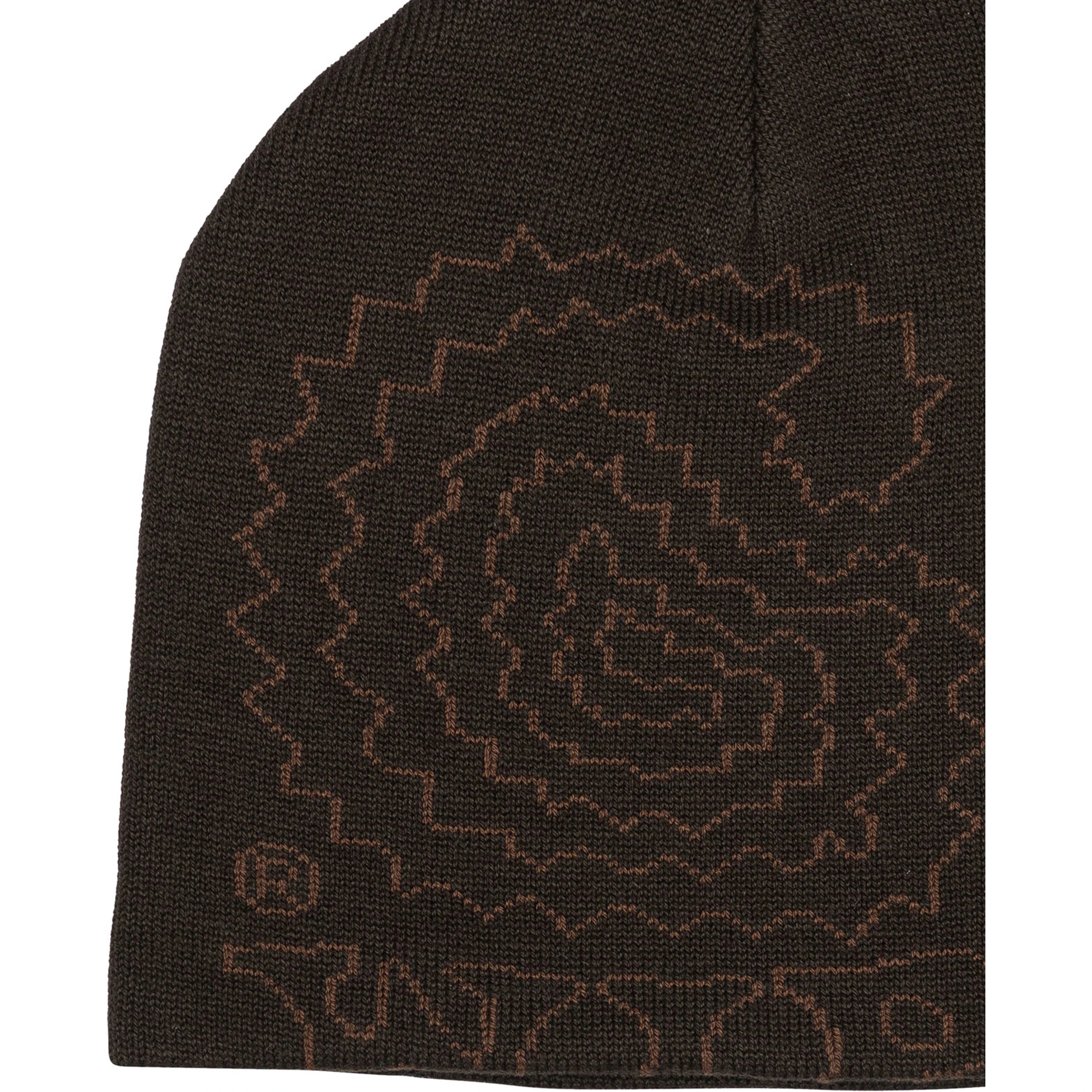 "Limn C" Beanie