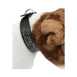 "Script Studs" Dog Collar S/M