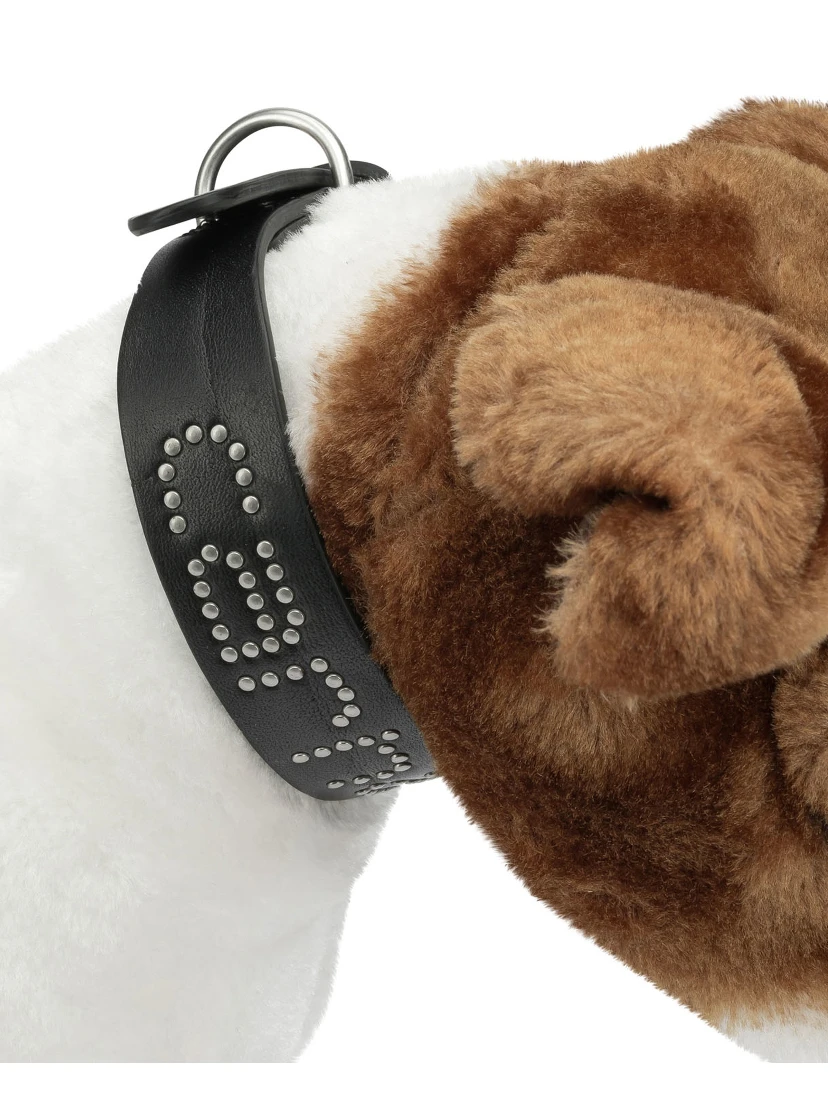 "Script Studs" Dog Collar S/M