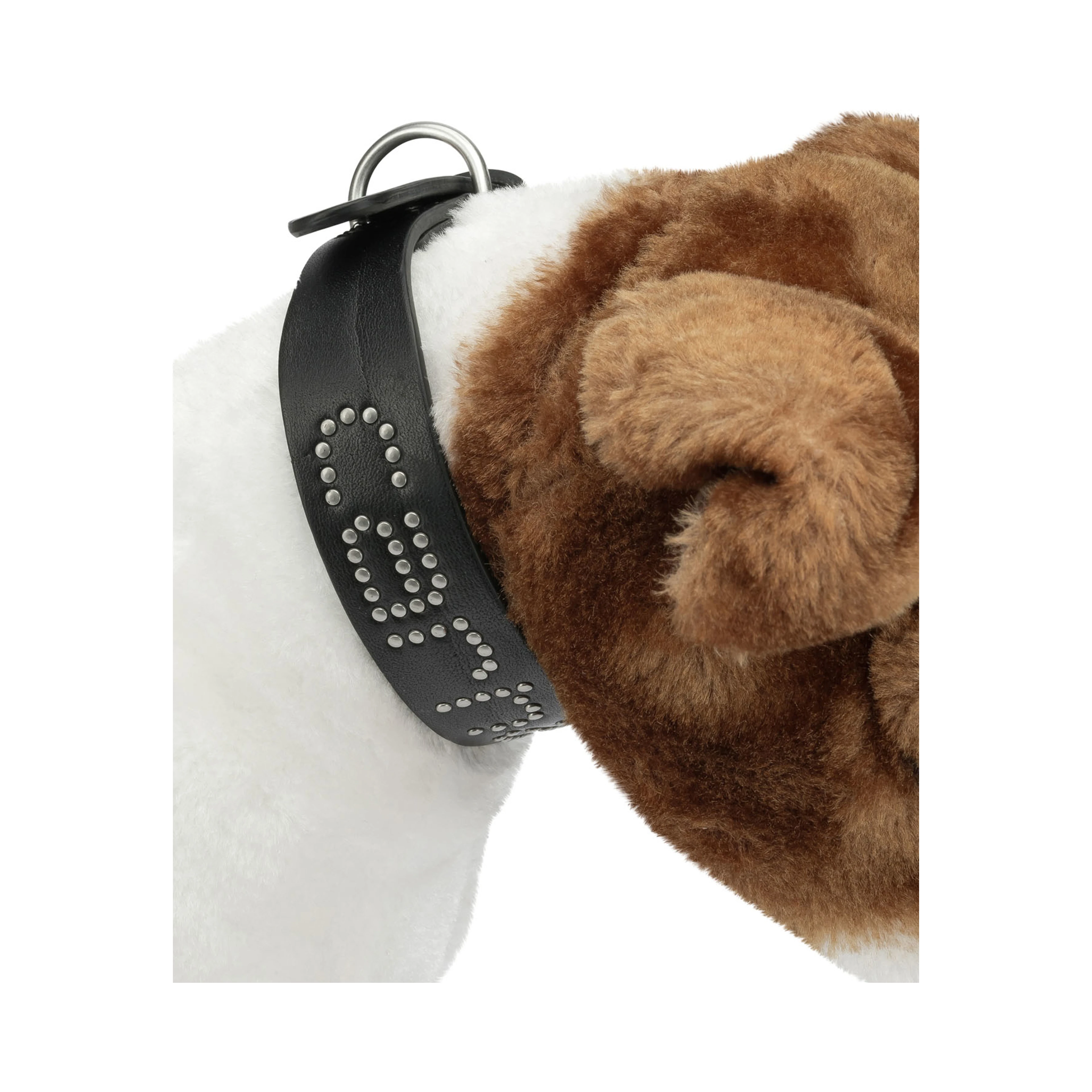 "Script Studs" Dog Collar S/M
