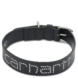 "Script Studs" Dog Collar