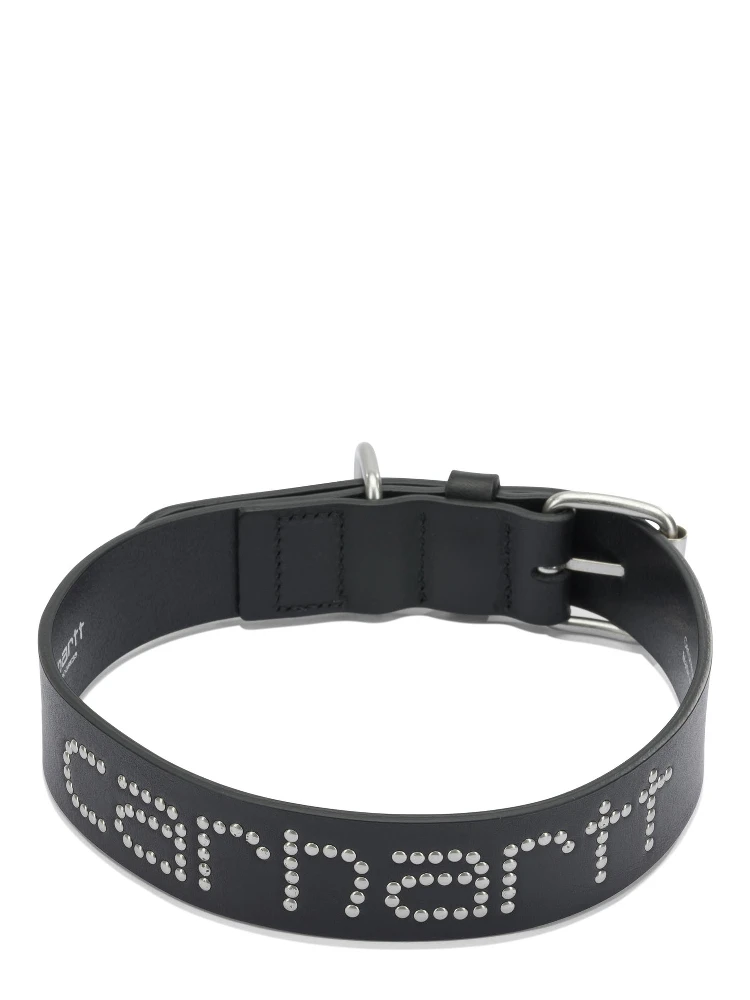 "Script Studs" Dog Collar