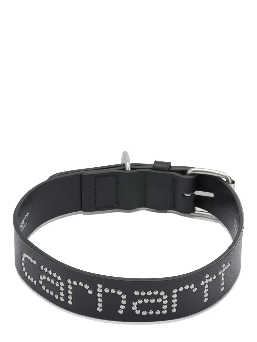 "Script Studs" Dog Collar