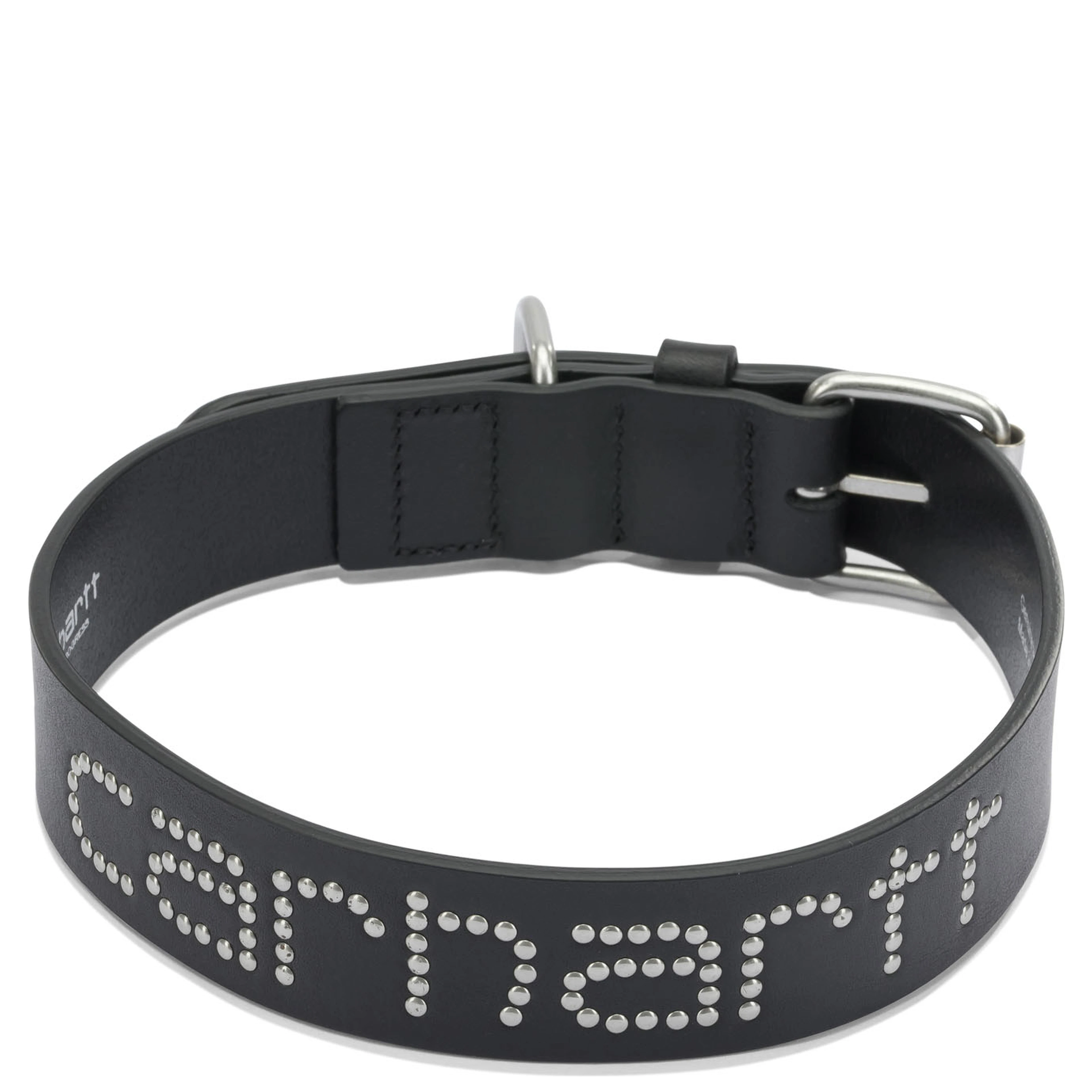 "Script Studs" Dog Collar