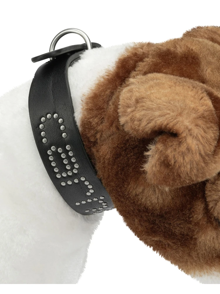 "Script Studs" Dog Collar alternative