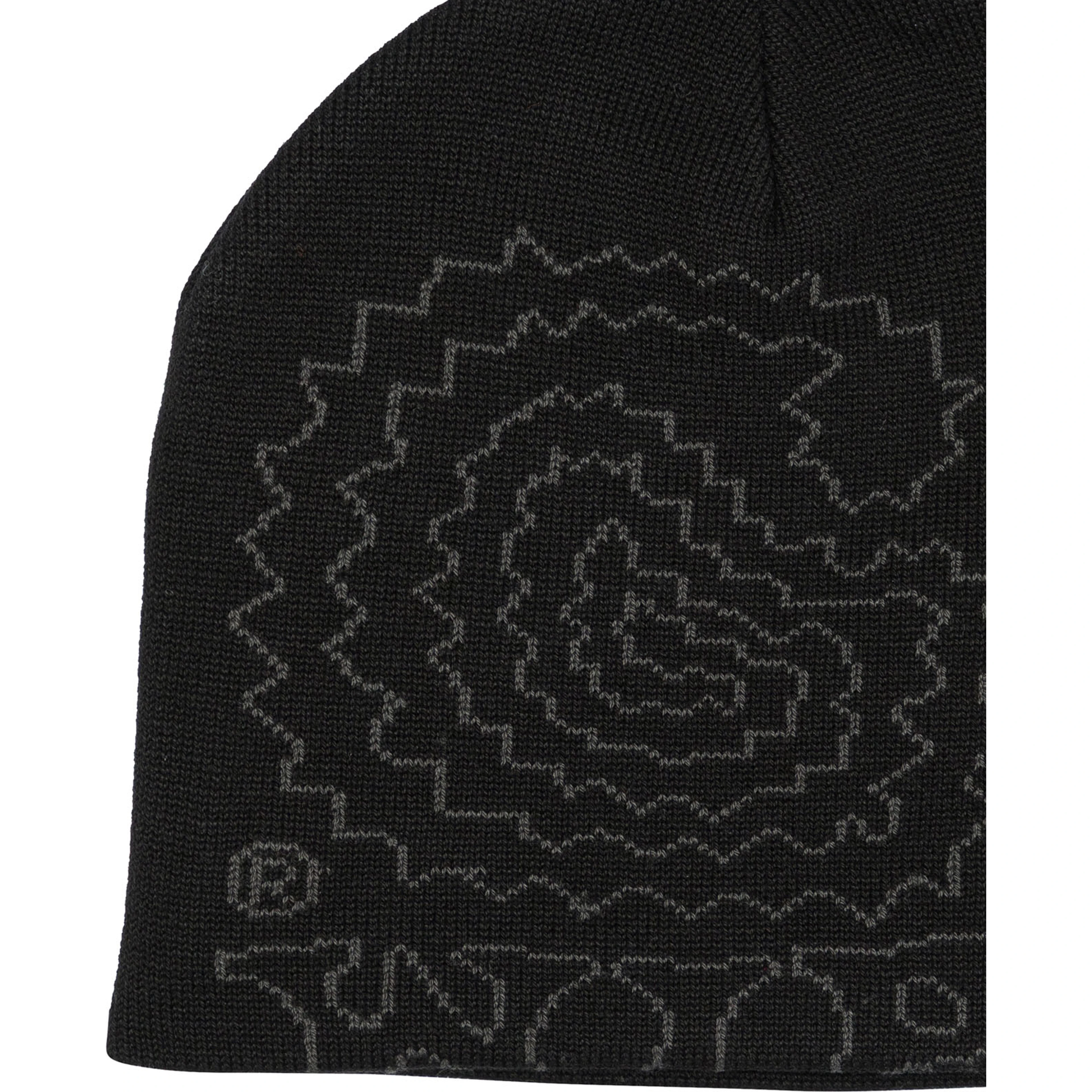 "Limn C" Beanie